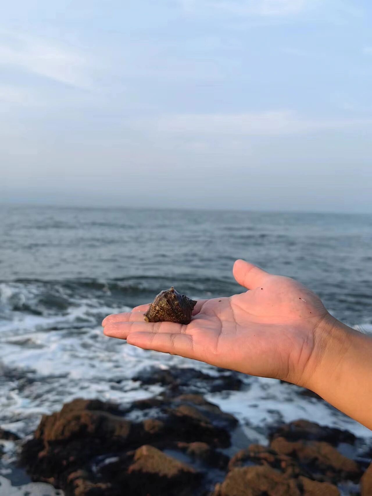 7.3秦皇岛东山浴场赶海⛏带娃深度感受大海
