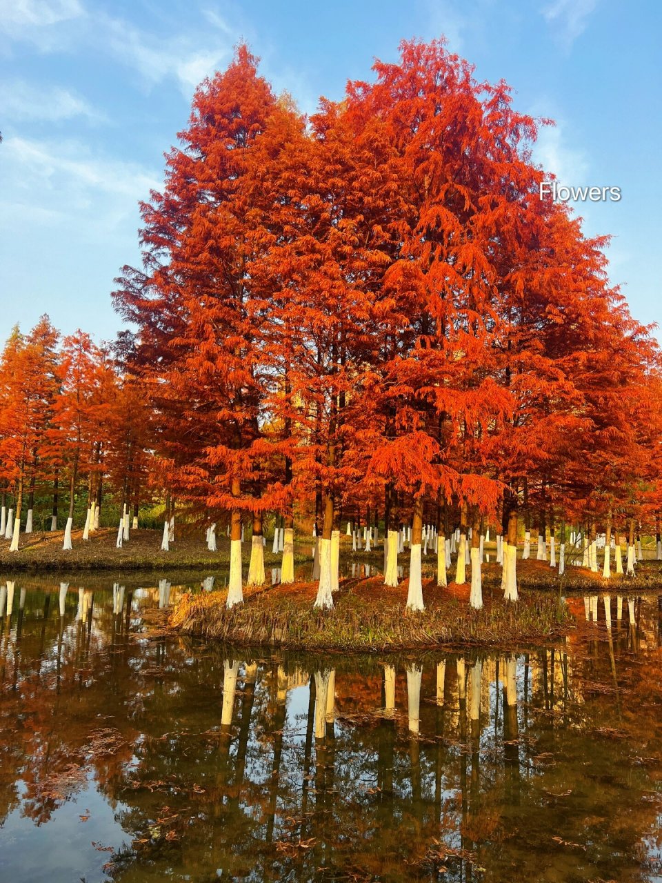 常州丁塘河湿地公园图片