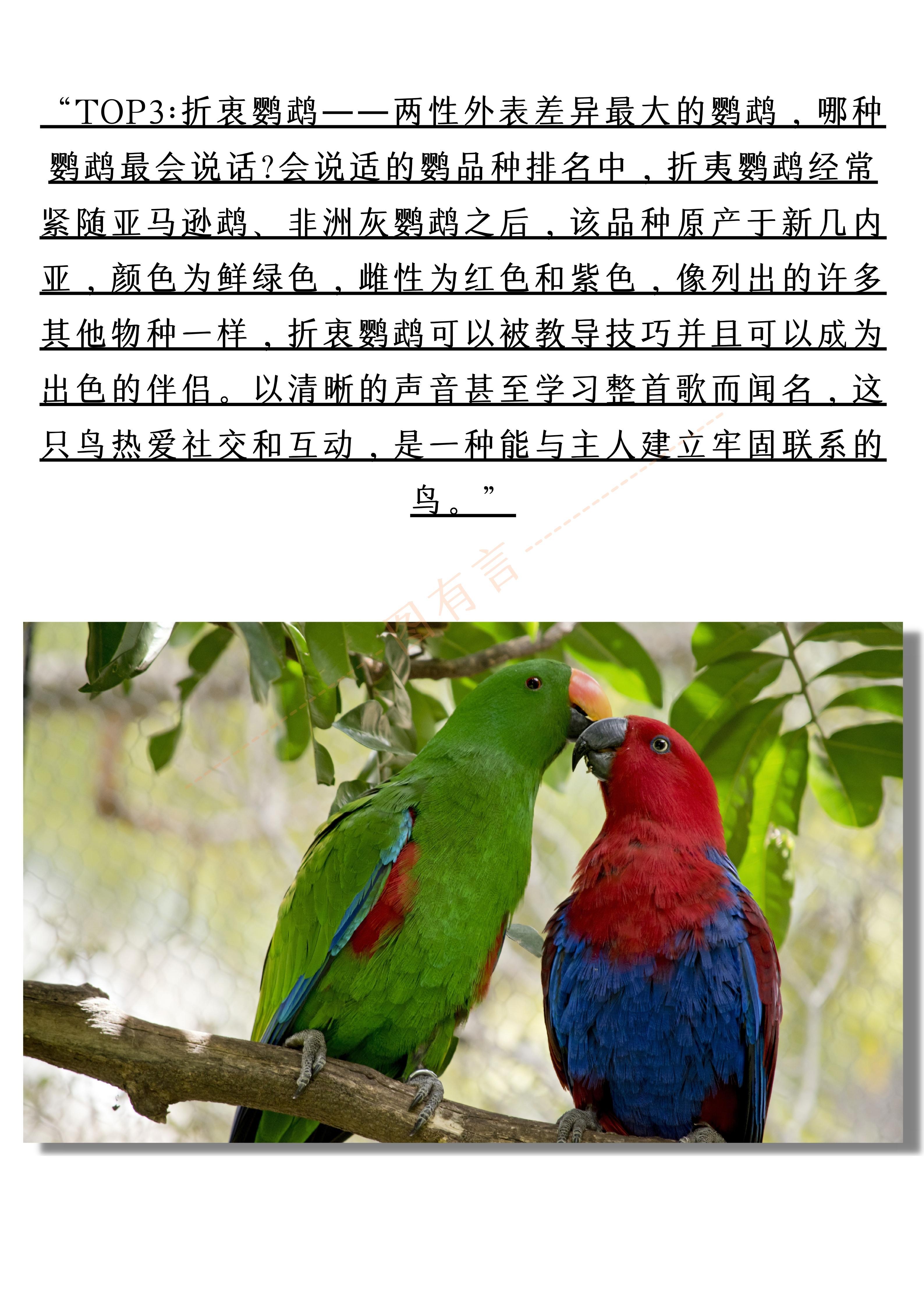 图有言 的想法: 鹦鹉智商排行榜 | 96"top1:亚马逊鹦鹉——最有学人
