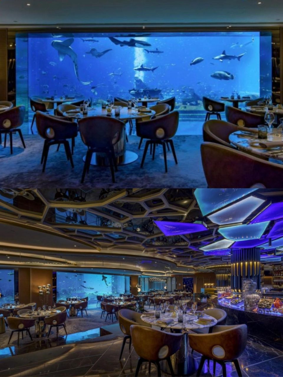 三亚亚特兰蒂斯酒店|年底低价 1288/晚 94酒店地址:海棠湾海棠北路