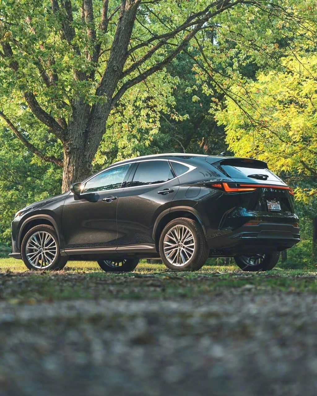 新款雷克萨斯nx发布,你们觉得怎么样71 962022款雷克萨斯nx正式