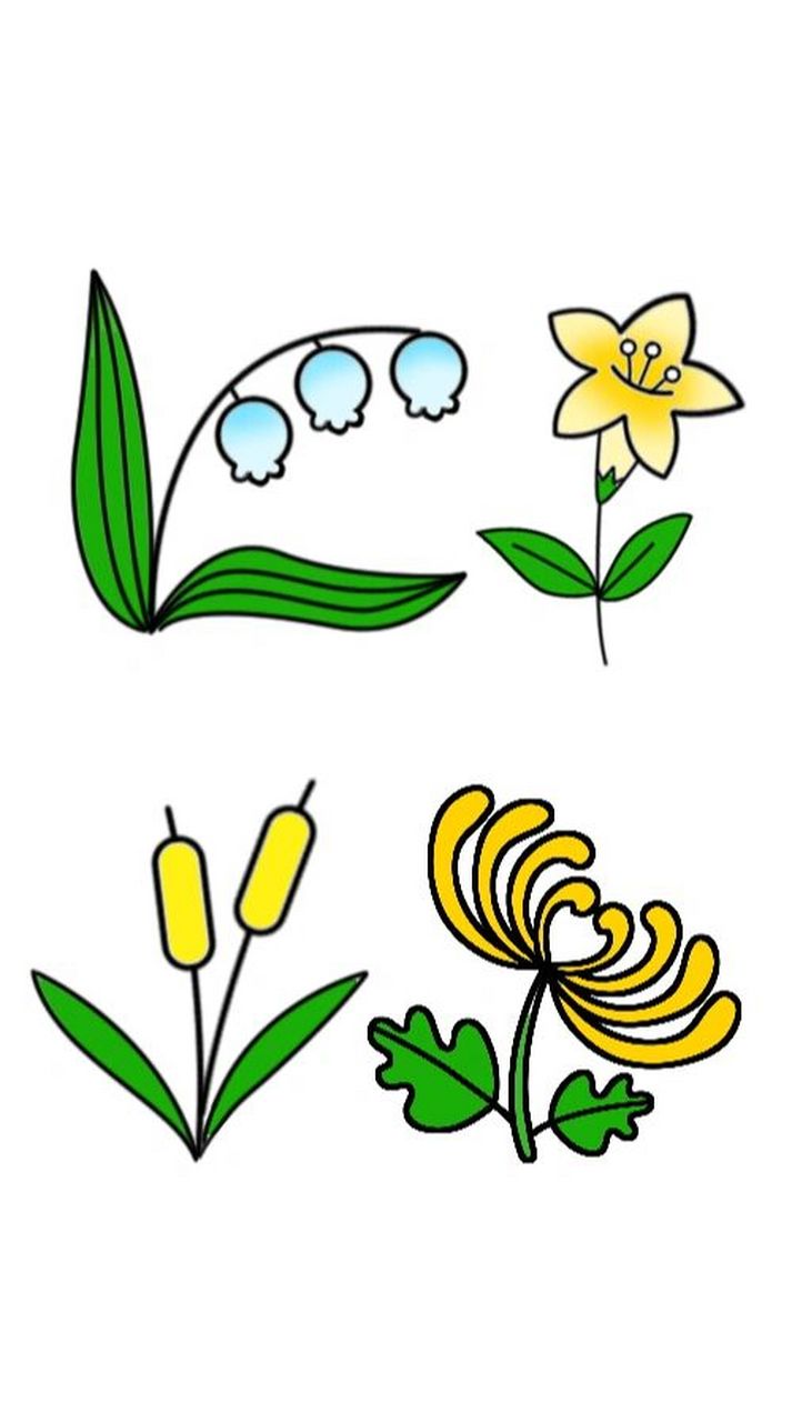 简笔画花集合