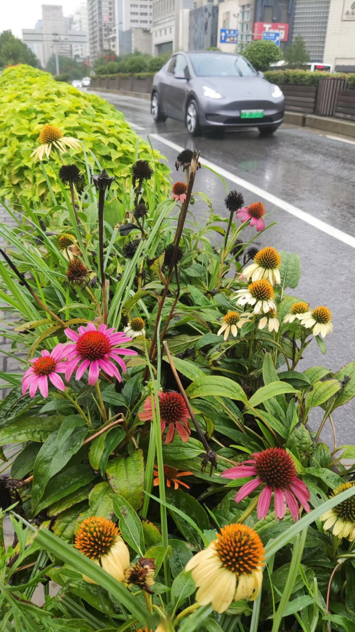 威海天气# 【夜间有雨】威海市区:今天白天到夜间,多云转阴,夜间有