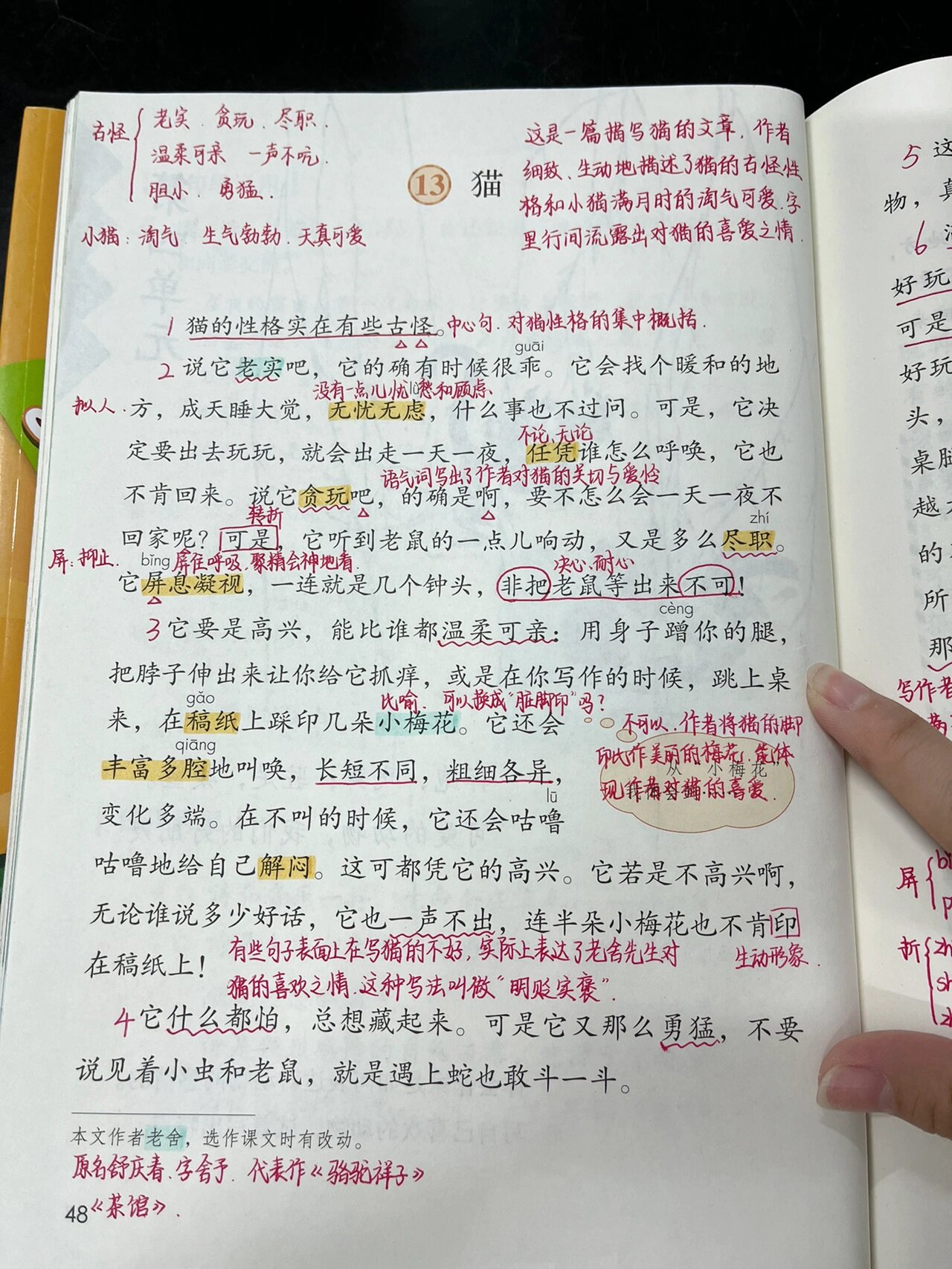 猫摄影教程笔记下载免费，技巧教学大全