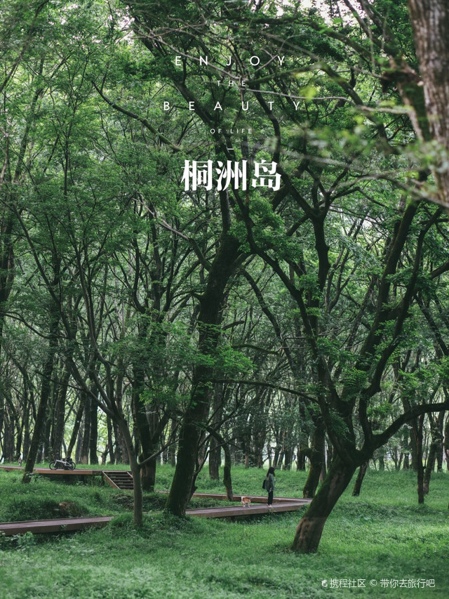 现实版绿野仙踪,初夏遇到最美的徒步栈道|打卡杭州桐洲岛