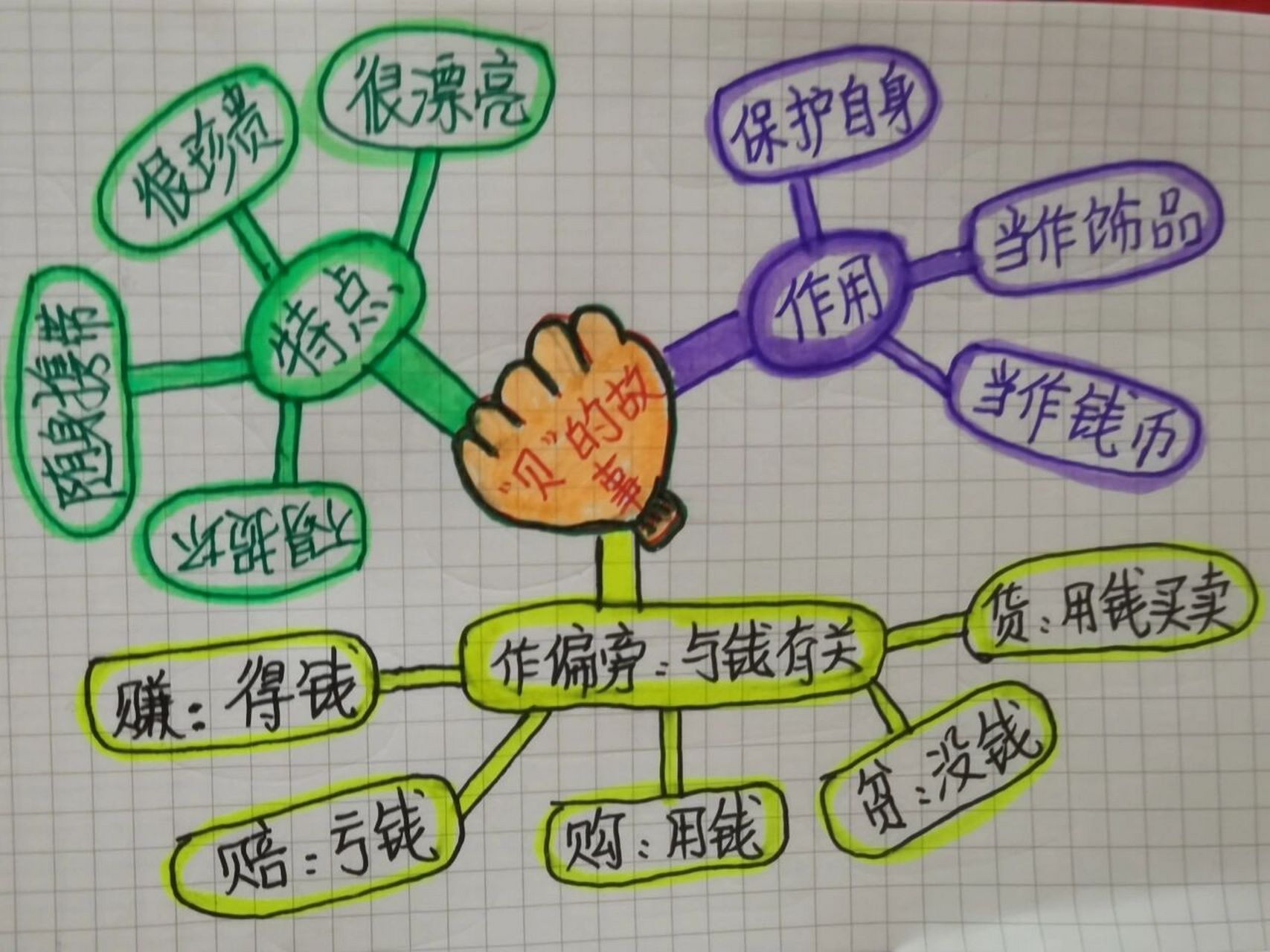 二下语文《"贝"的故事》笔记及思维导图 《"贝"的故事》由贝类引入,以