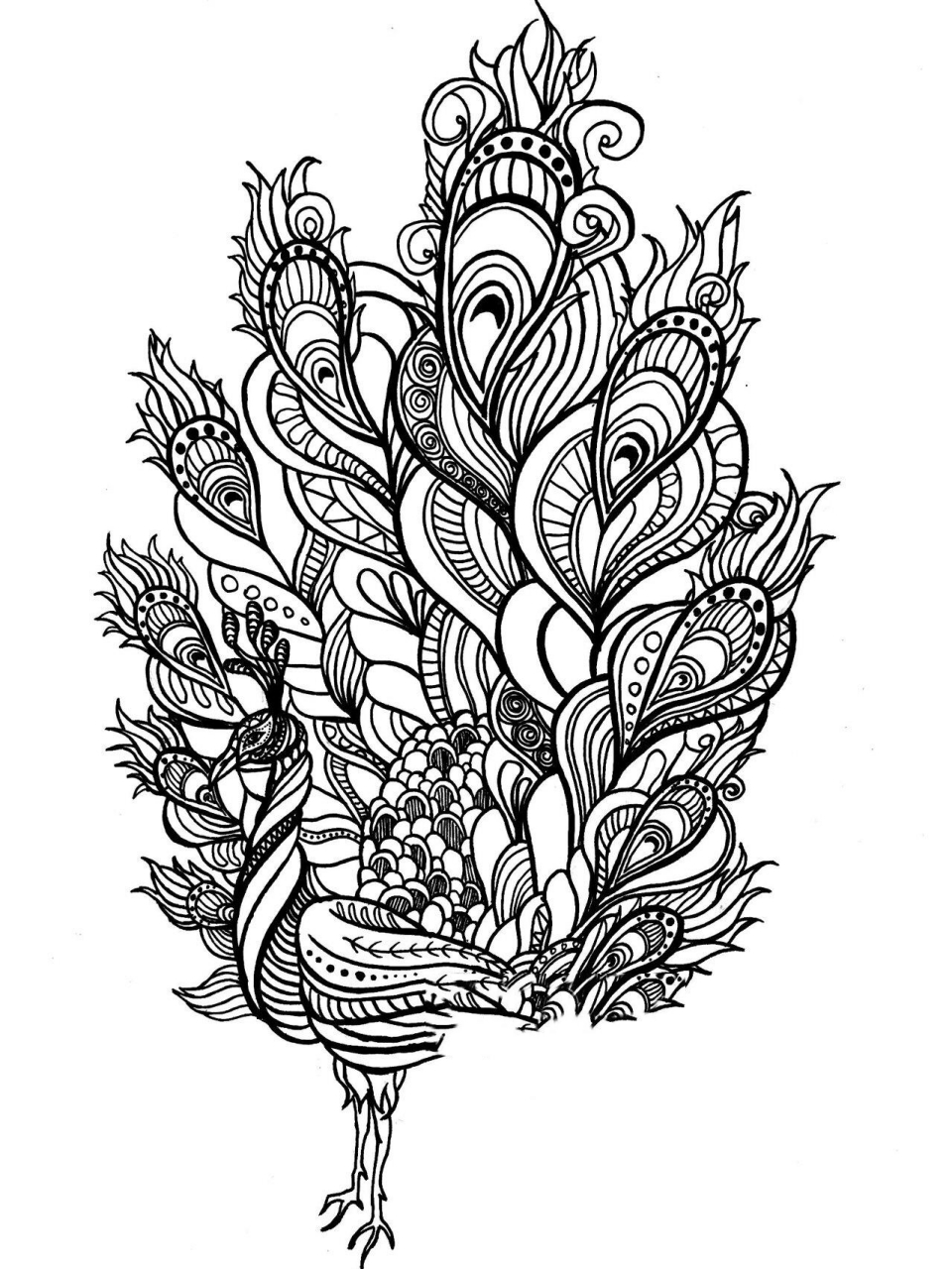 黑白装饰简笔画|动物系列(二) 56615孔雀 开屏的孔雀 希望可以