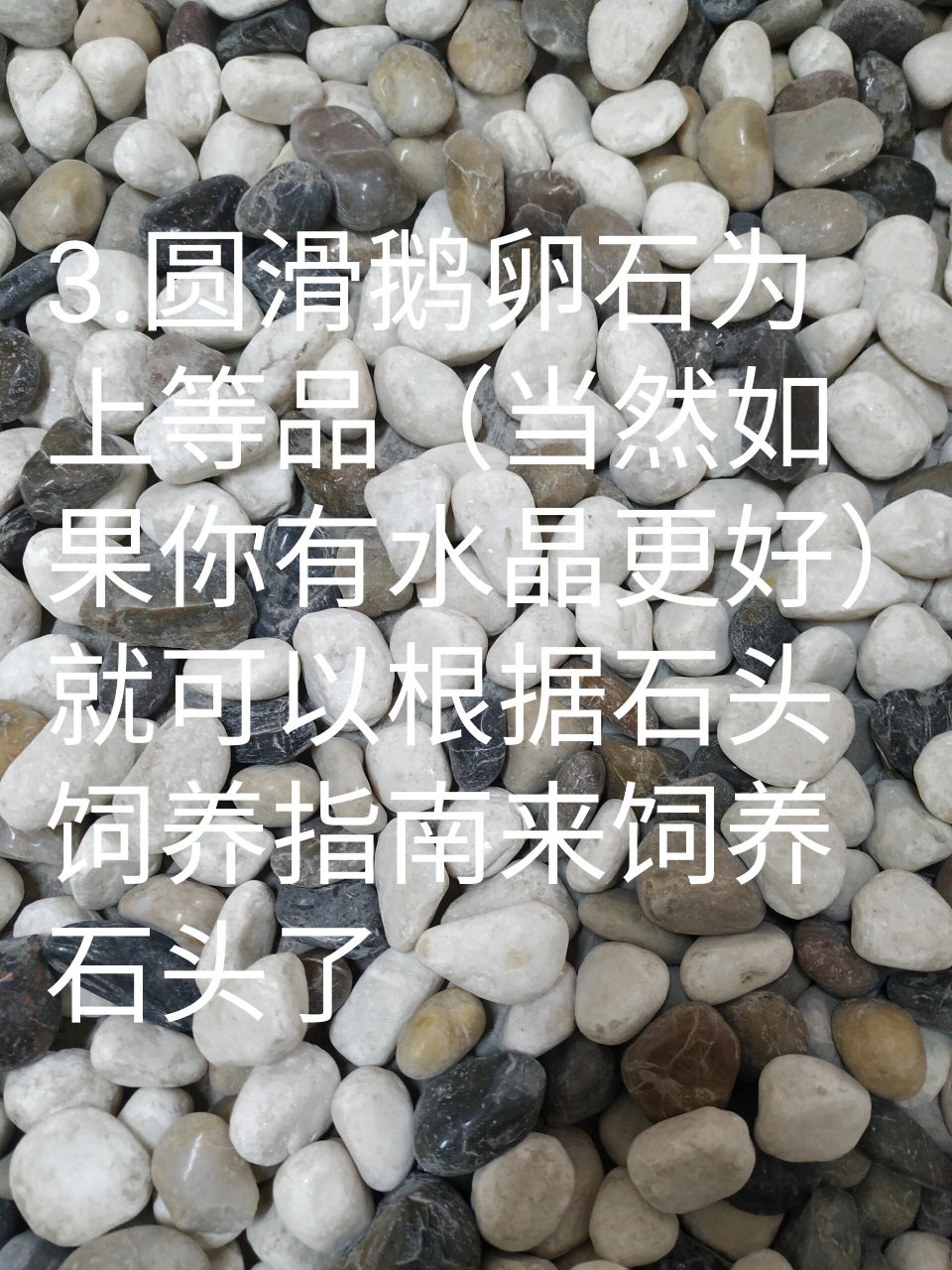 石头种类划分及优劣点测评 万众瞩目的新类型已出0095 这次比较少