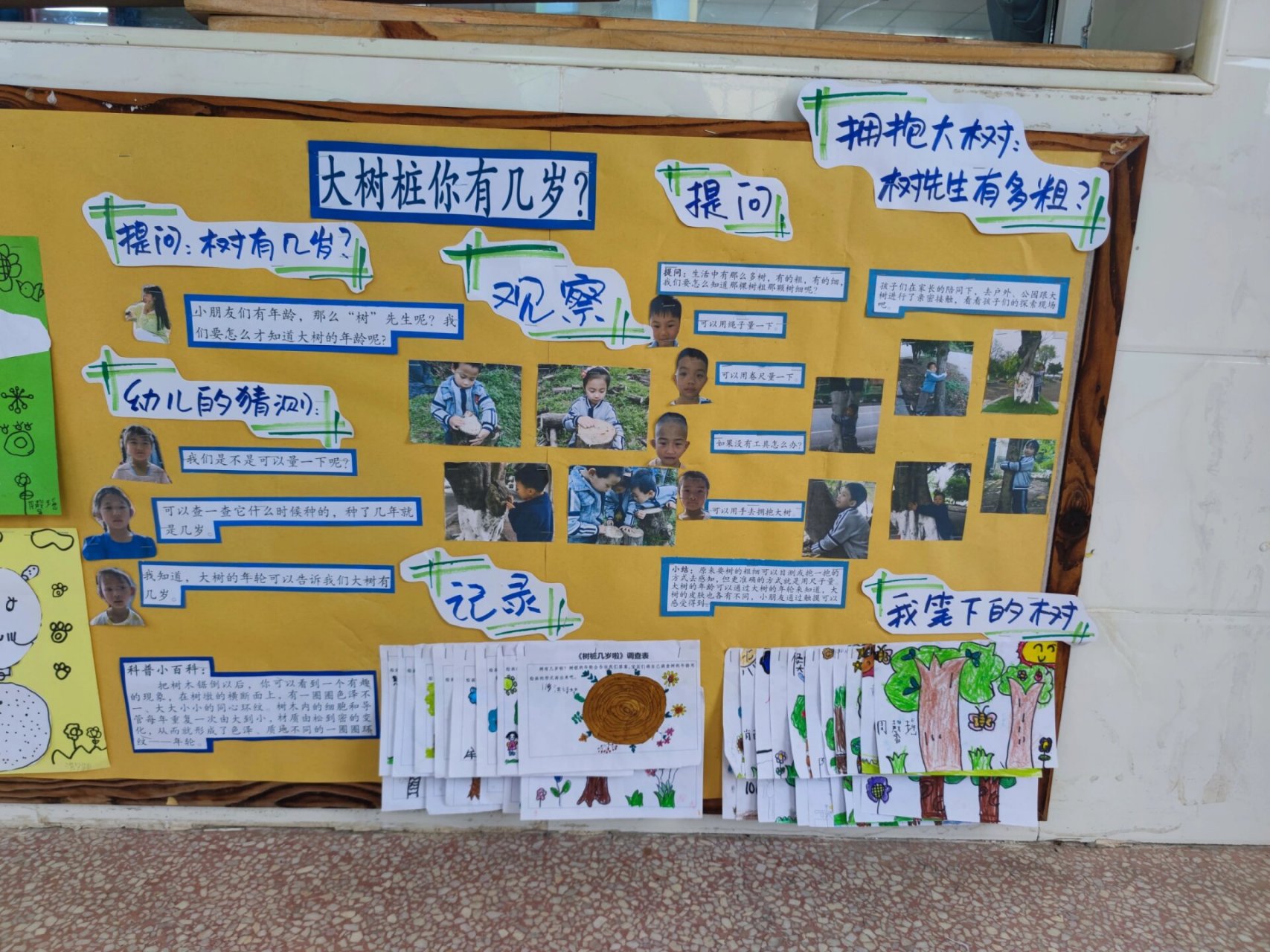 主题墙:生命的奥秘 幼儿园大班主题墙《生命的奥秘》