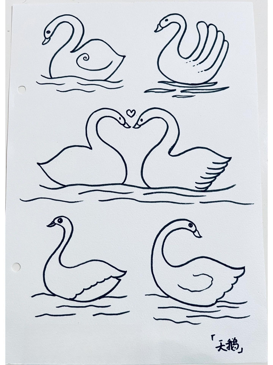 简笔画「天鹅」060606