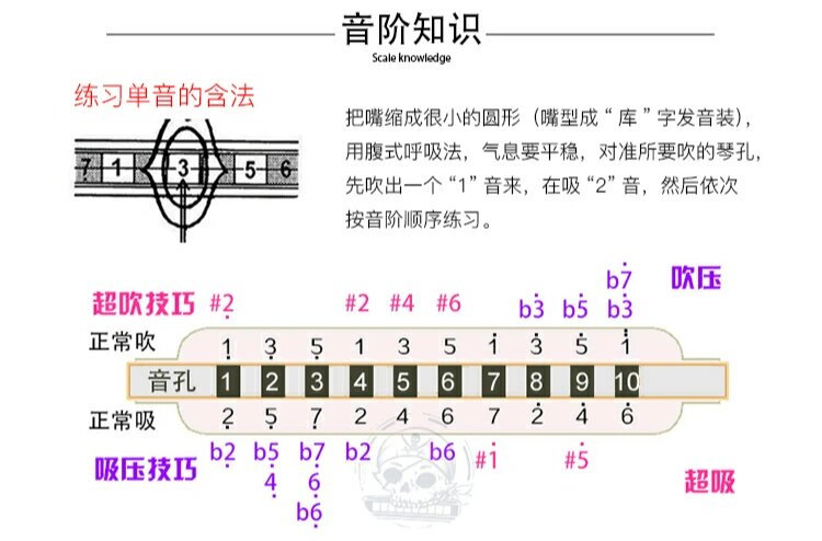 十孔口琴压音教程图片