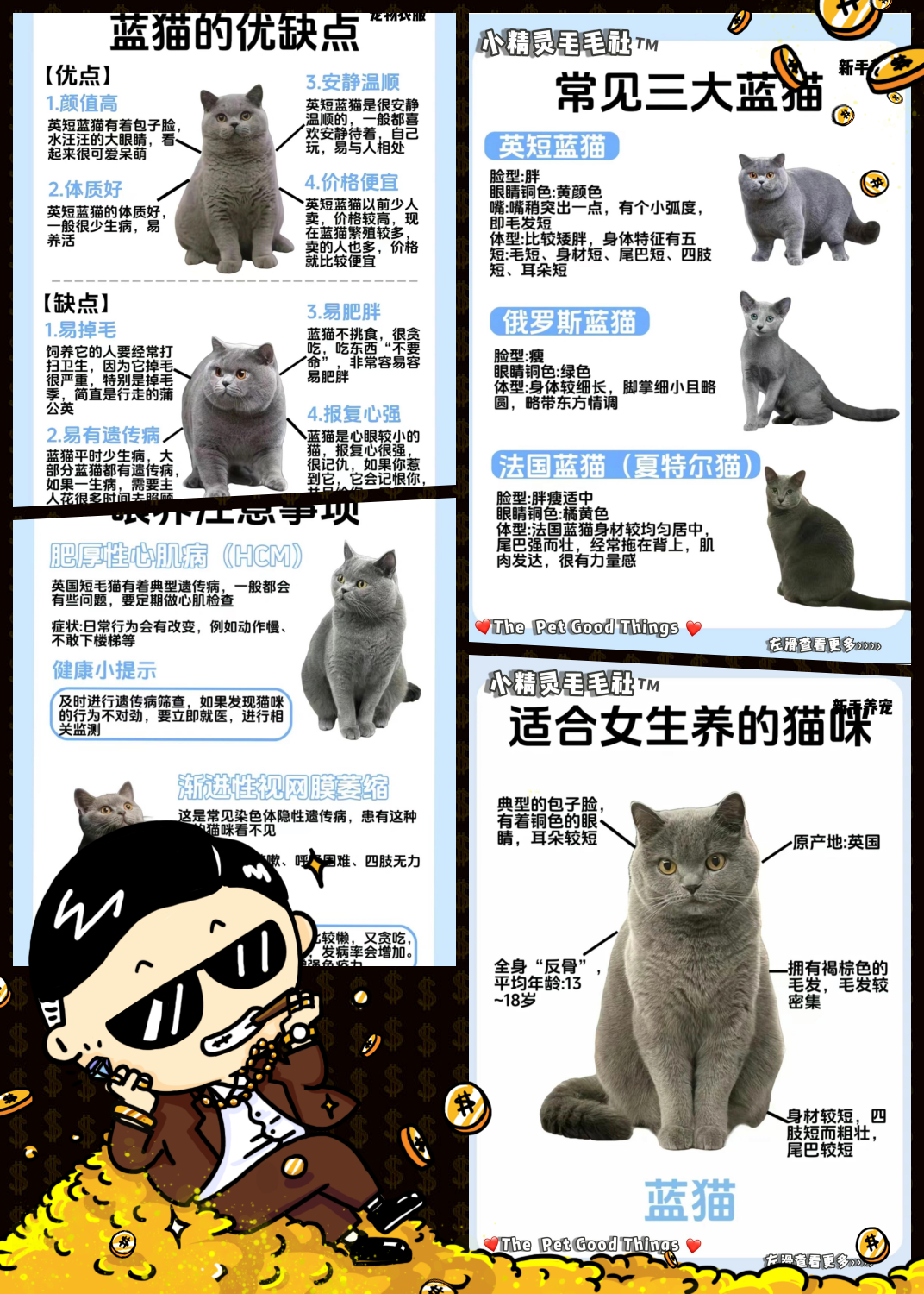 它们主要分为三个品种:俄罗斯蓝猫,英国短毛蓝猫和法国蓝猫.