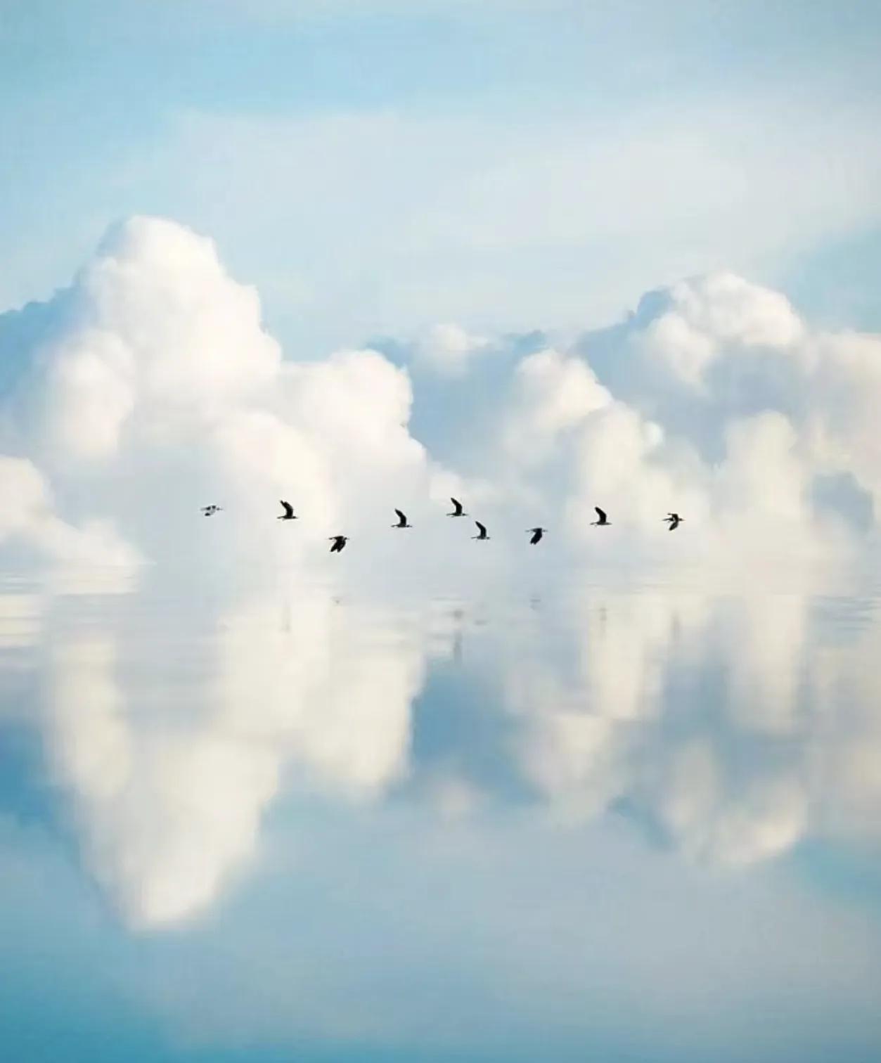 这幅图像展示了一片宁静的天空,几朵白云悠然漂浮,几只鸟儿在云层之间