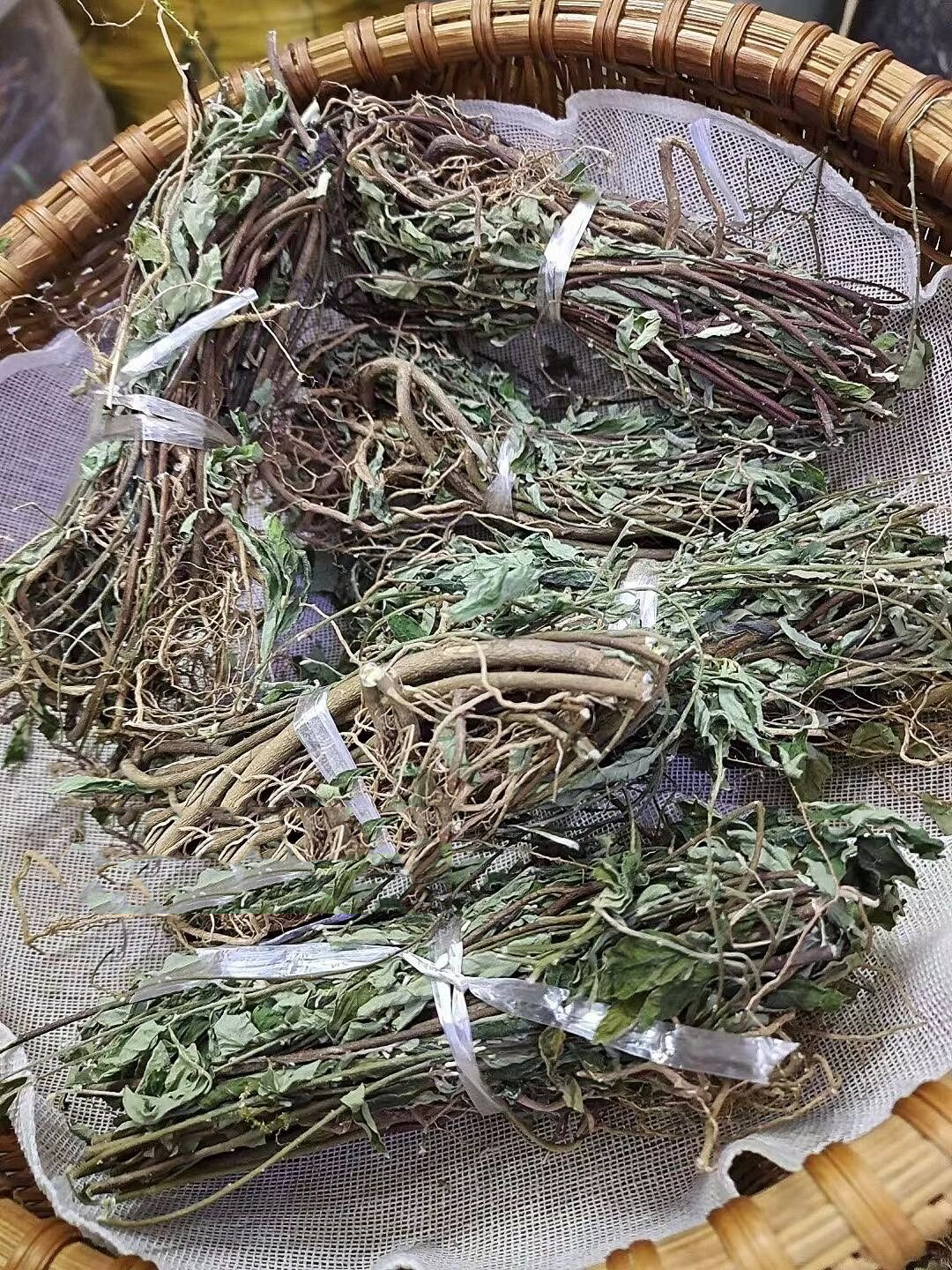 白花地棉茎性微温,味苦,辛.