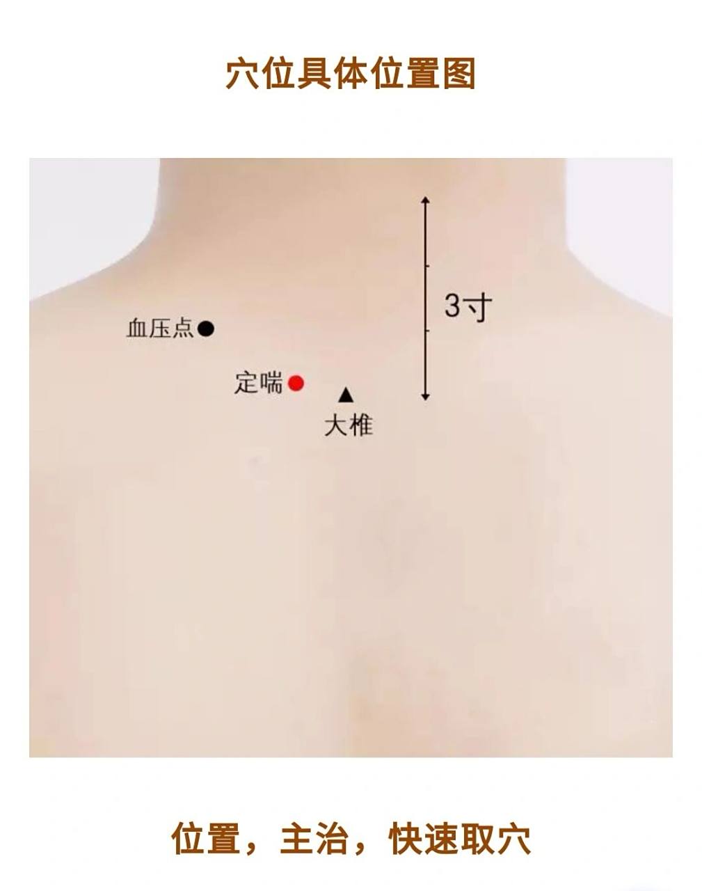 【每日一穴】定喘穴:属经外奇穴;主治:哮 【每日一穴】定喘穴:属经外