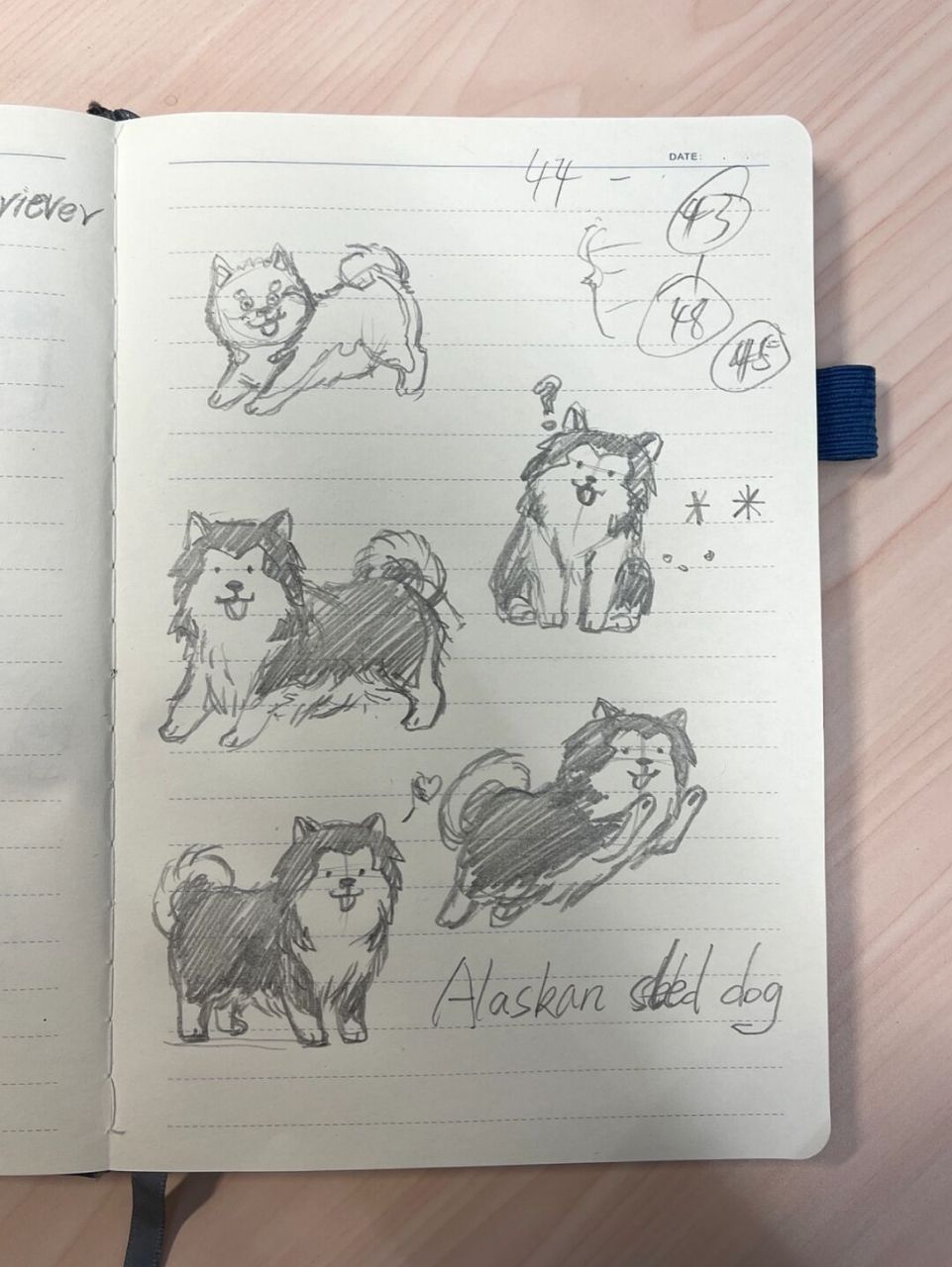 98狗狗简笔画100-15|阿拉斯加|手帐素材94 狗狗简笔画第15弹!