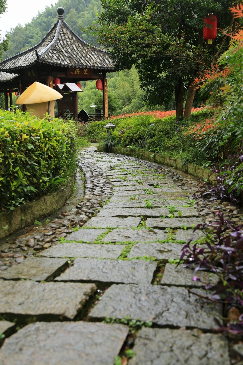 禅茶第一村——径山村 如果你每天生活在这里,你是不是很欢喜?