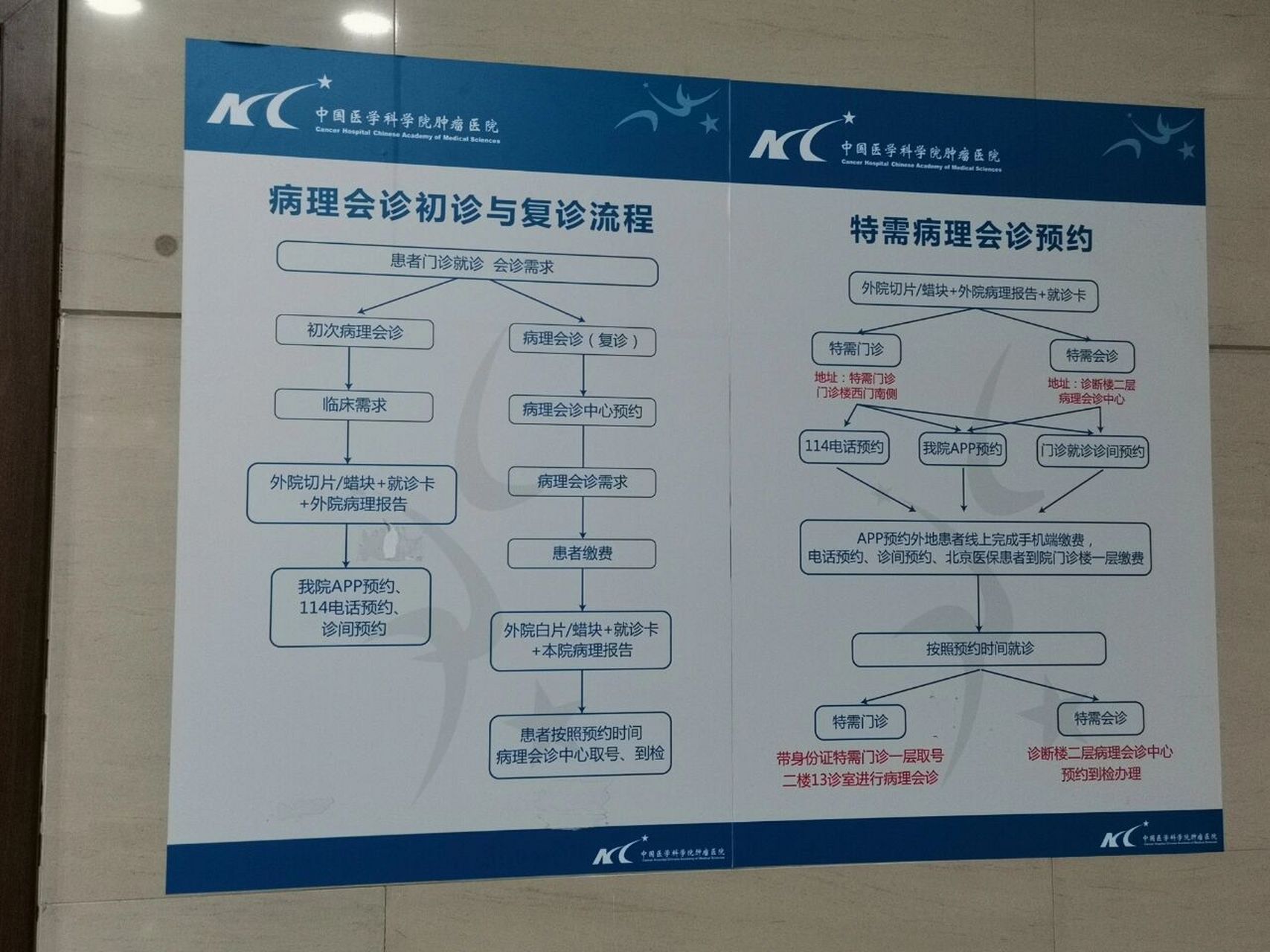 北京肿瘤医院特需挂号怎么挂，北京肿瘤医院特需挂号