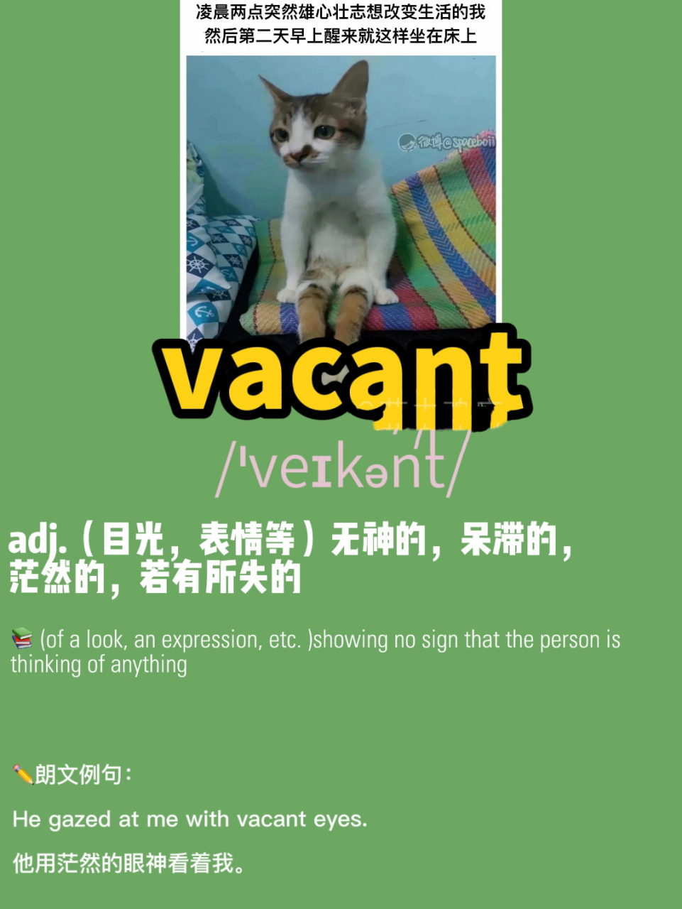 vacant 92 (of a look, an expression, etc.