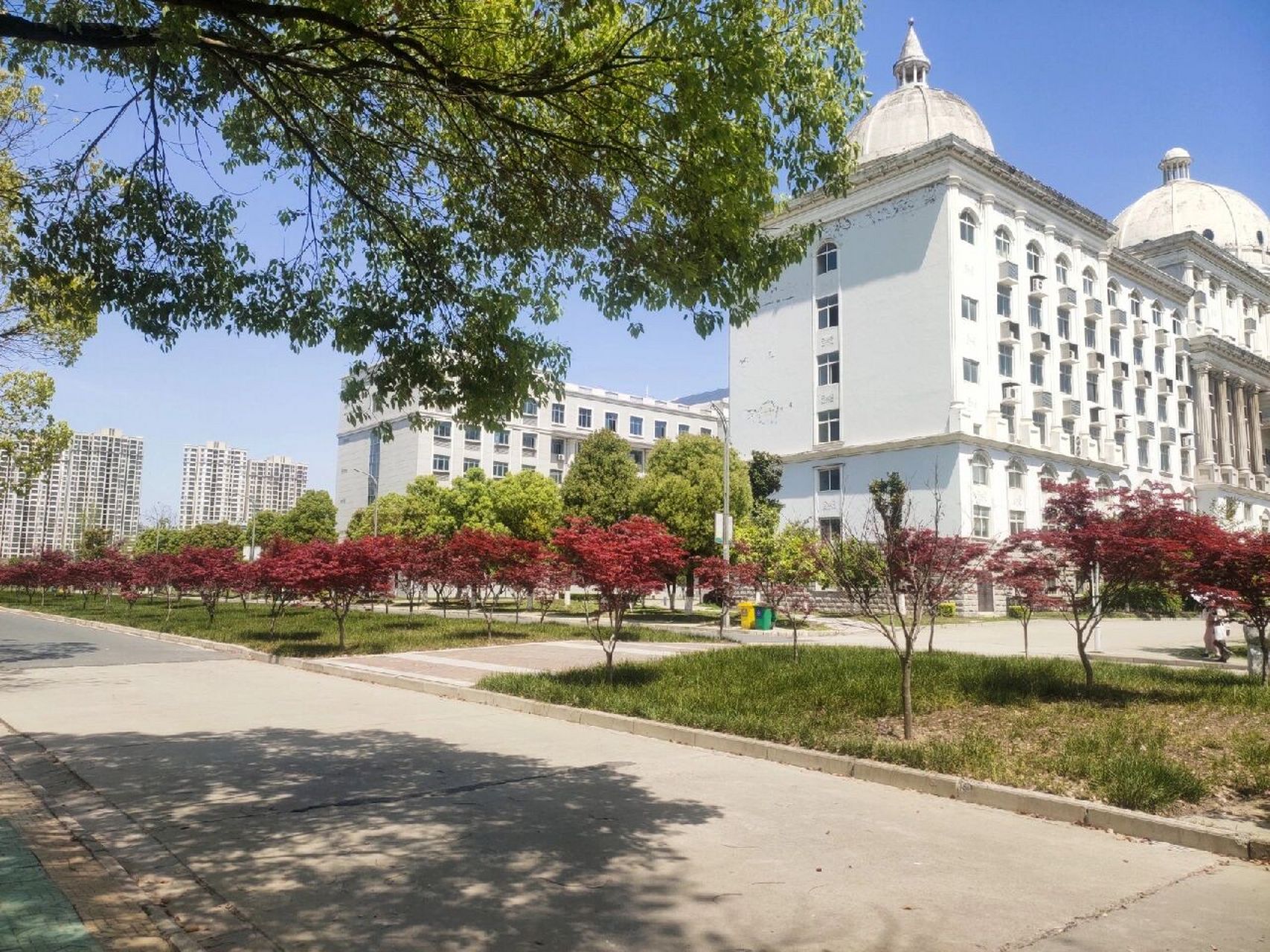 荆州职业技术学院风景2.0 还是得再看大荆职一眼!照片n.