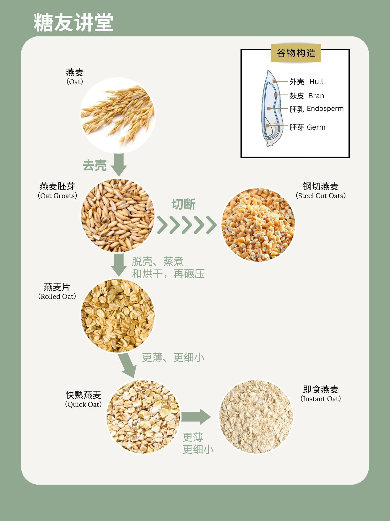 9002分辨5种燕麦片 | 找蕞适合你的燕麦