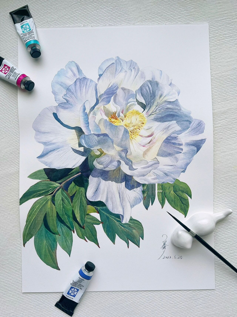 水彩花卉|第一朵芍药花(附线稿过程) 为了接下来的芍药花订单,练习了