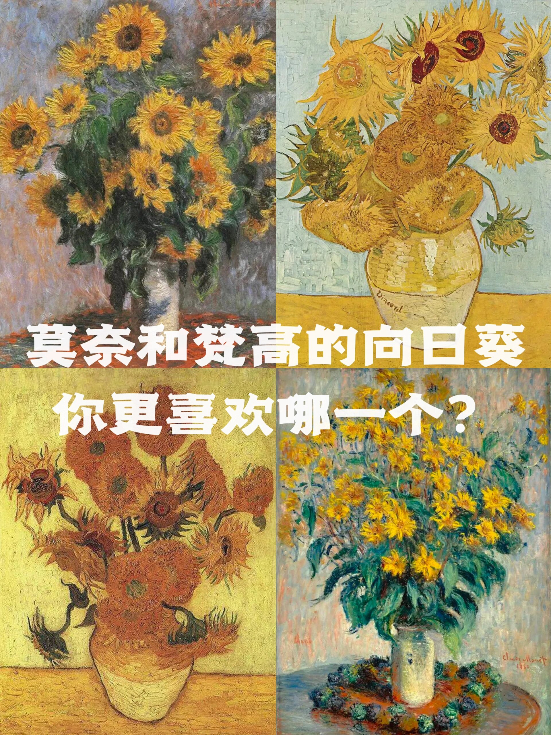每天认识一幅画|第8幅 莫奈《向日葵