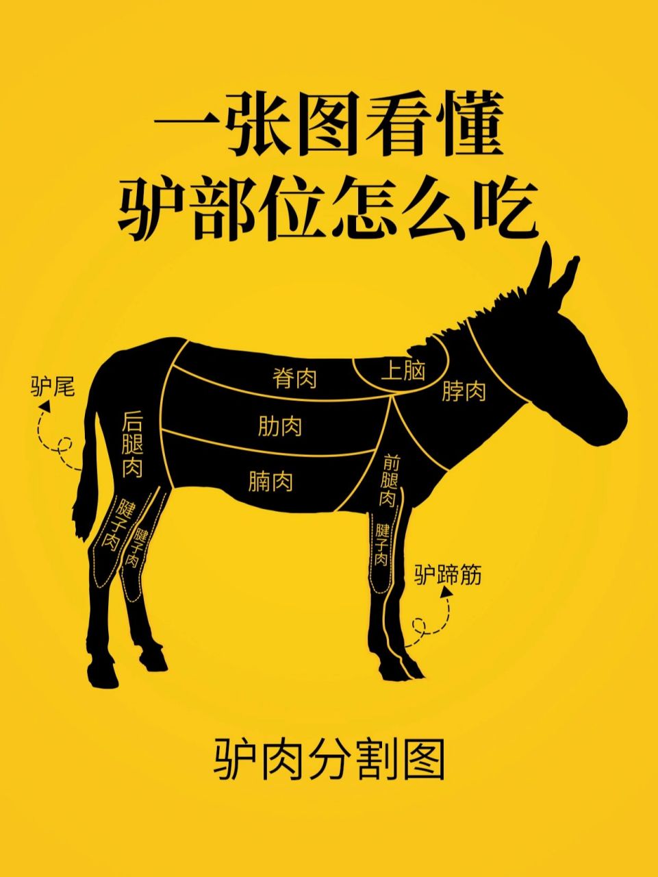 科普04驴肉部位区别及食用方法一张图搞定 哈喽~宝宝们 驴肉一直是