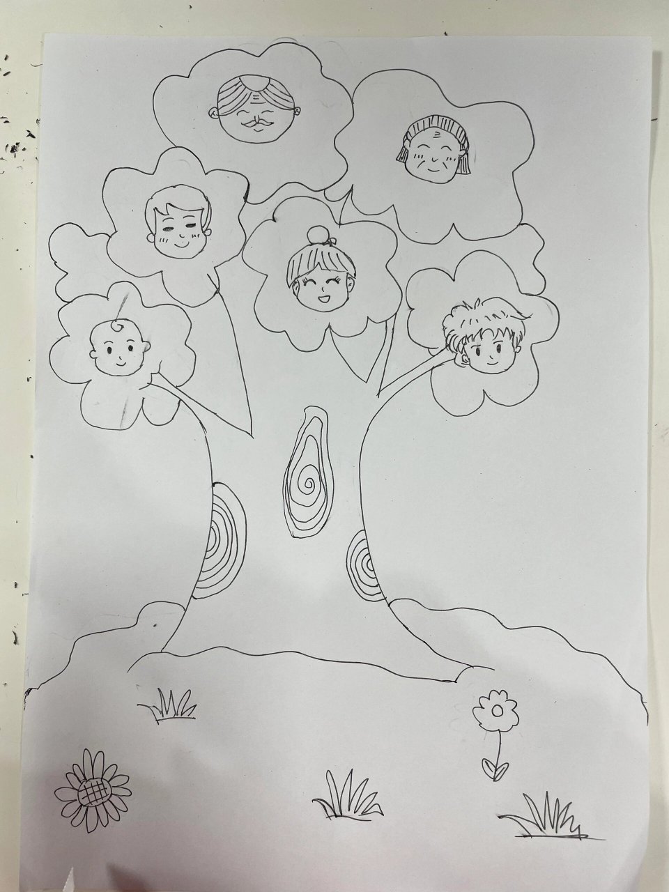 家谱树98 周五还有半个小时不到 同事说让帮她孩子画个   家庭树