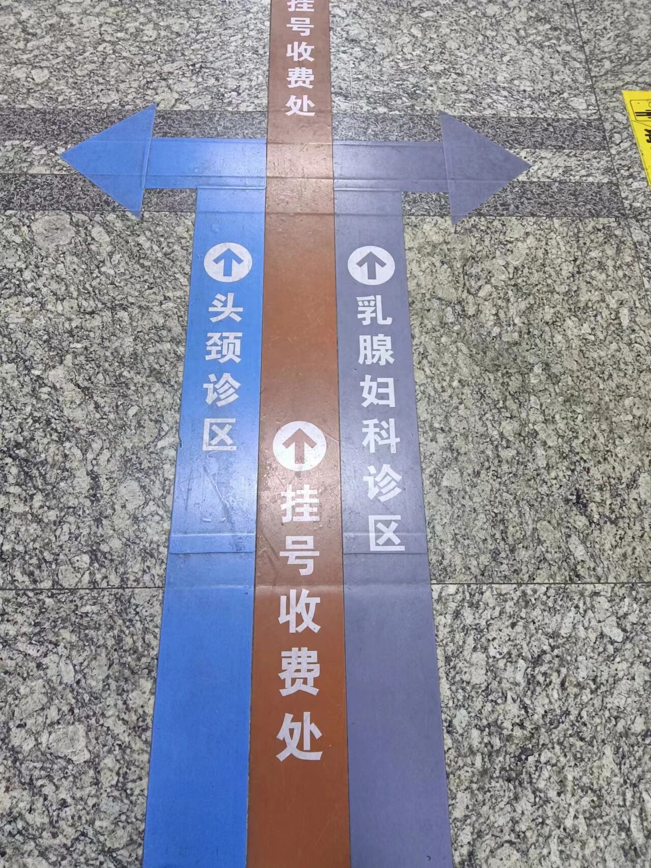 關于中國醫學科學院腫瘤醫院、協助就診找跑腿掛號預約檢查住院，讓您省心安心的信息