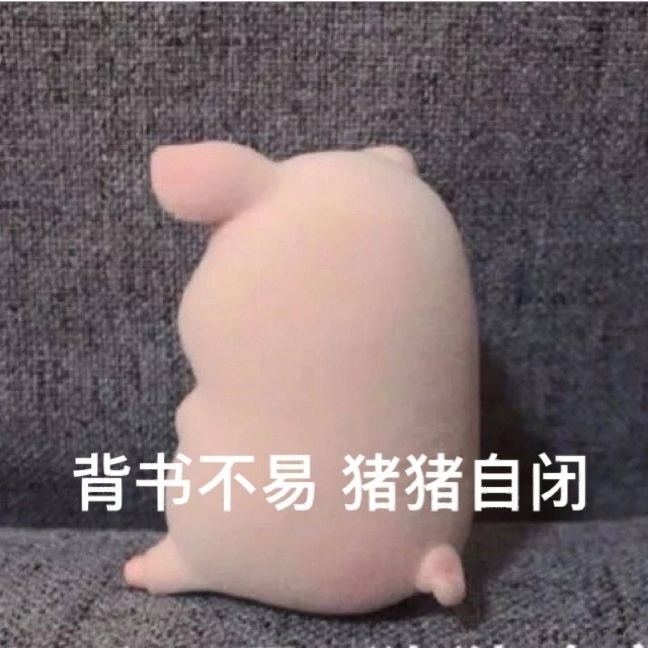 背书表情包 好可爱,可惜用不上
