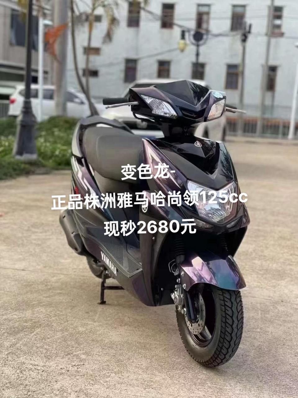 变色龙- 正品株洲雅马哈尚领125cc 现秒2680元