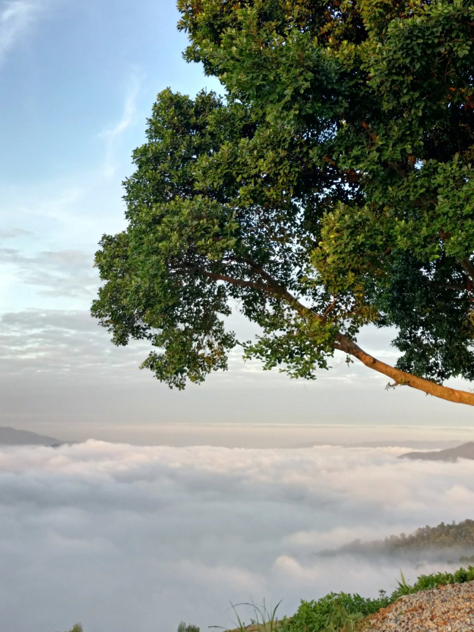 增城·师爷山 秋天的第一场日出,夜爬增城师爷山,算是一次完美的云海.