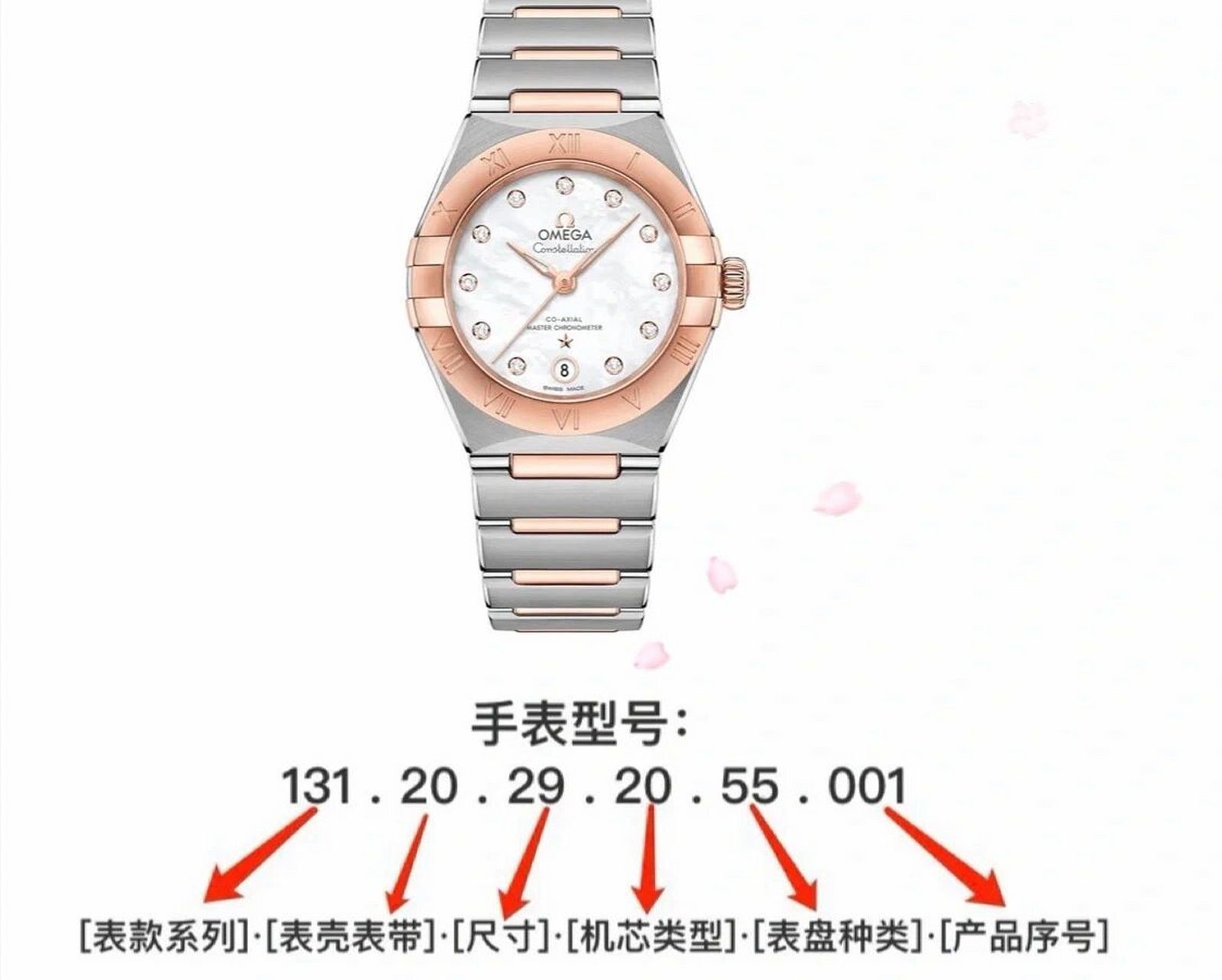 一张图带你了解欧米茄型号解读!