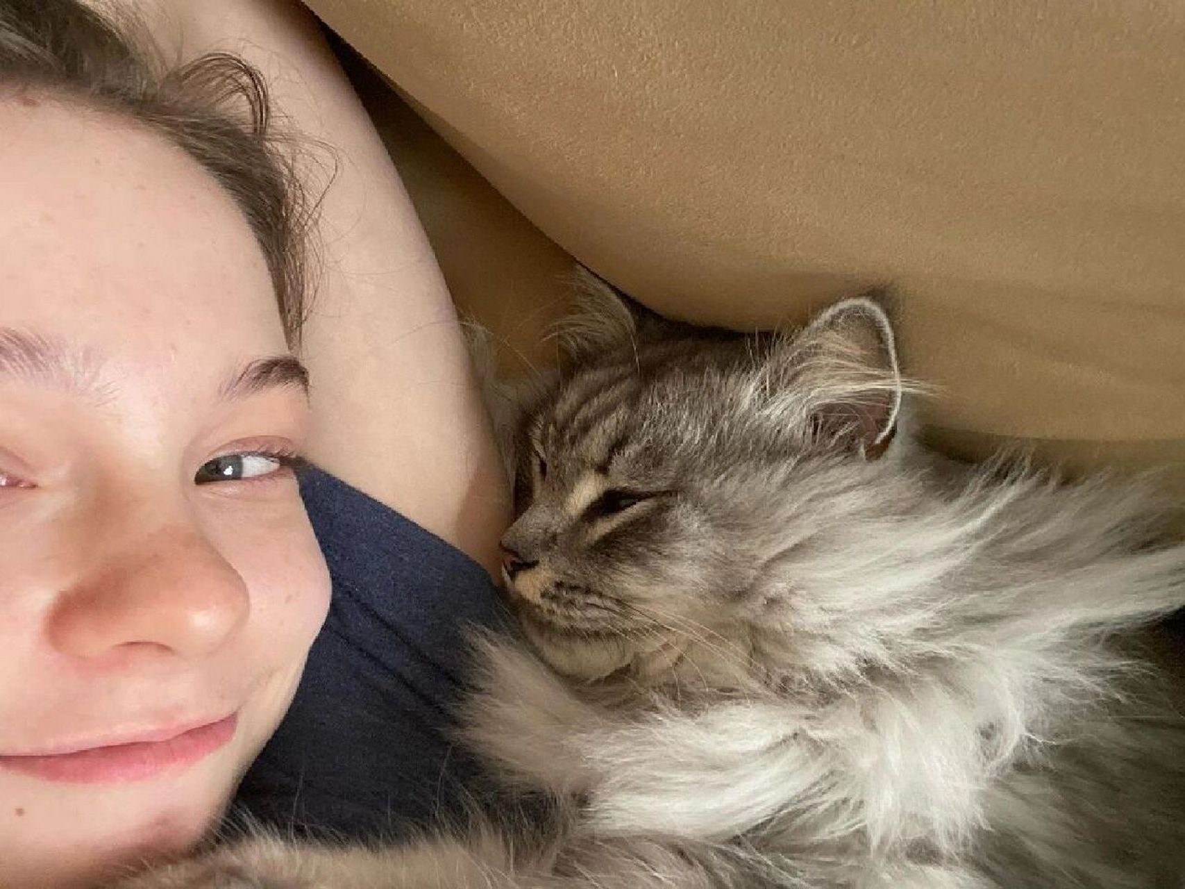 星期三里的小狼女与小小的宠物猫 在星期三里,小狼女曾经和星期三说过