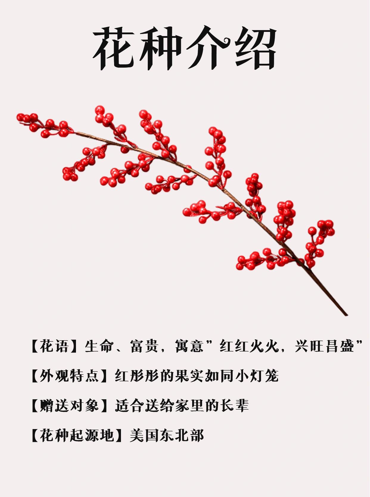 槲寄生花语图片