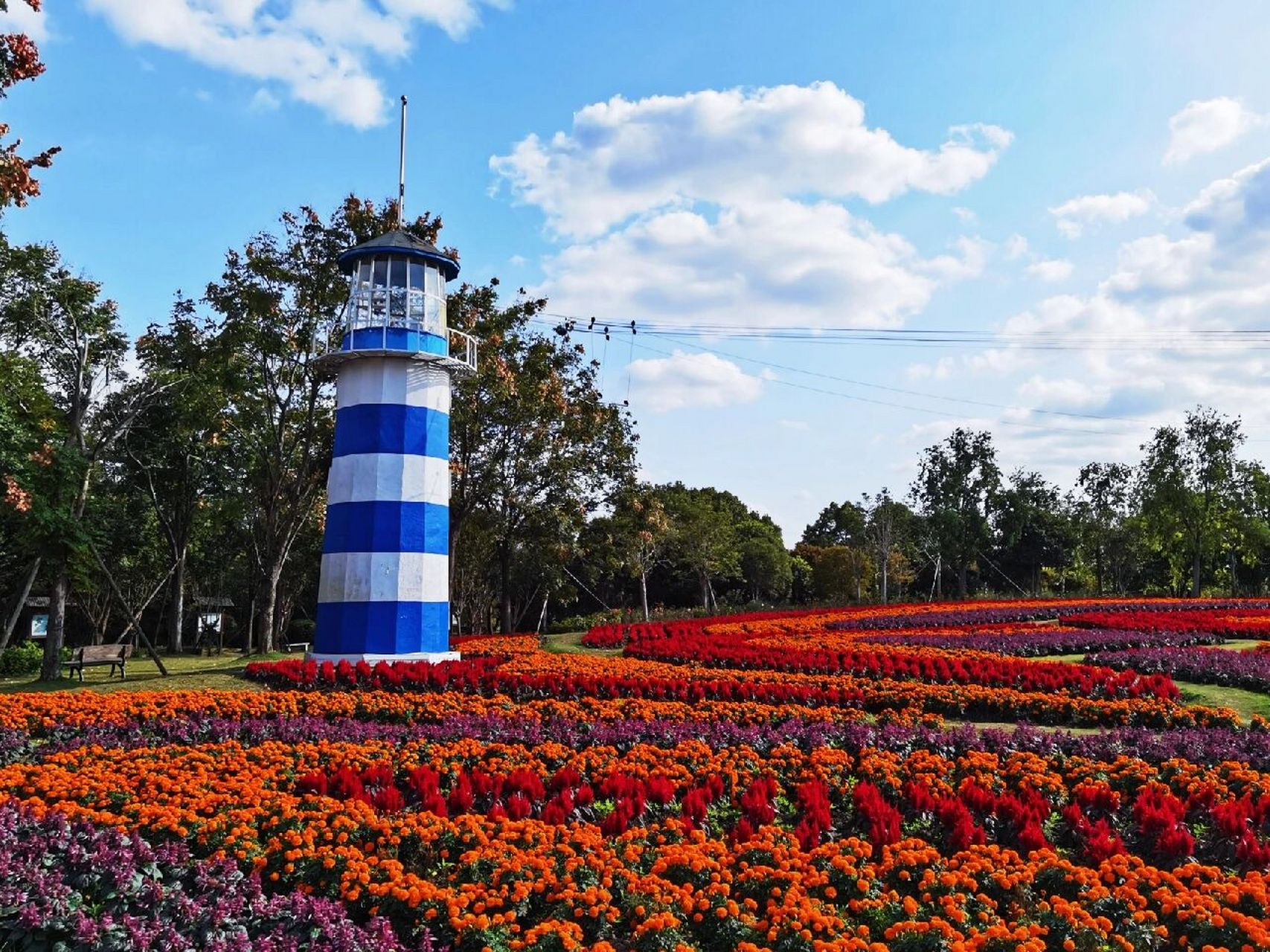 上海魔都旅行 | 秋天的彩虹花海～浪漫满园 周浦花海生态园 交通不