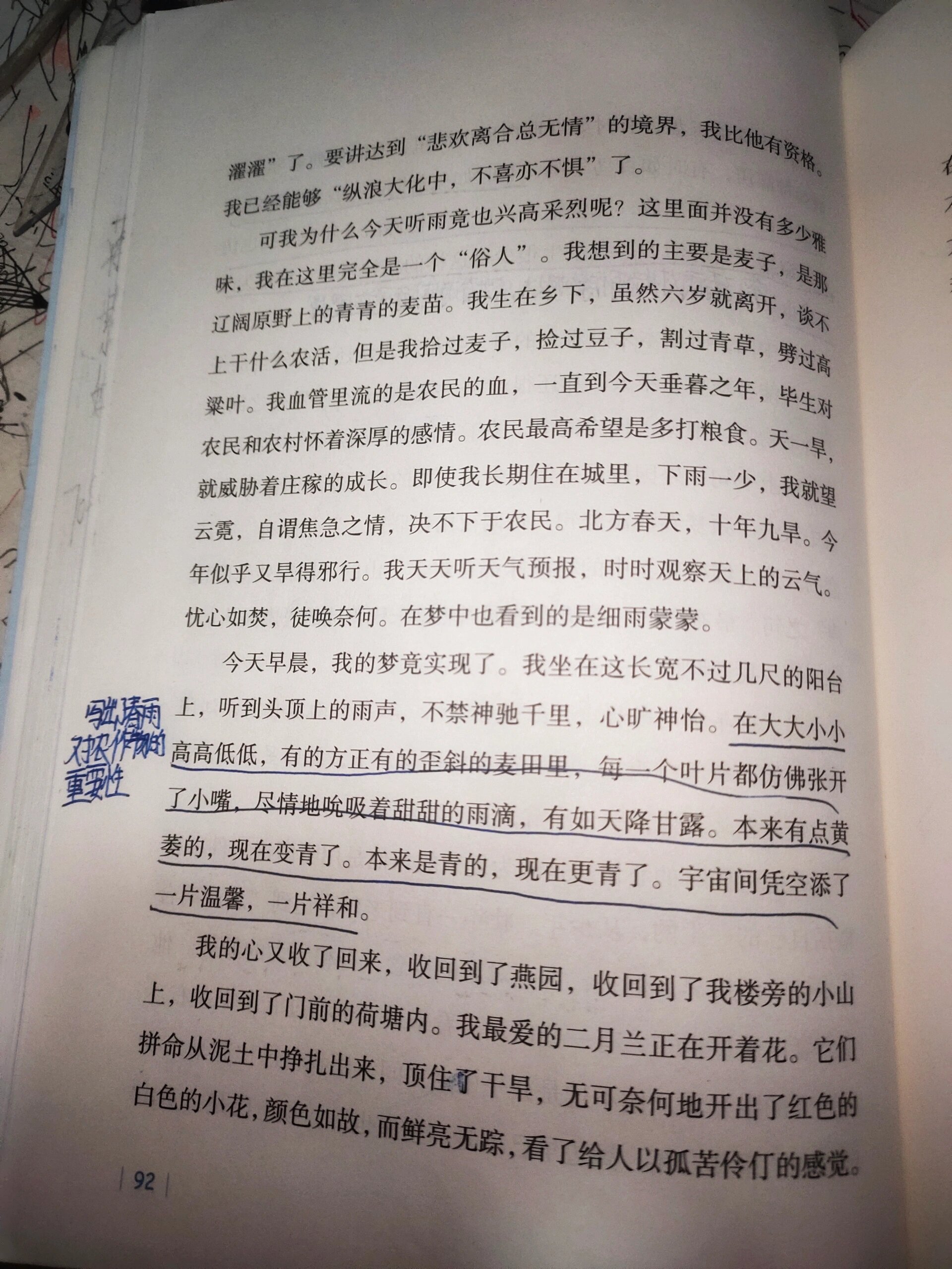 《寻梦》季羡林图片