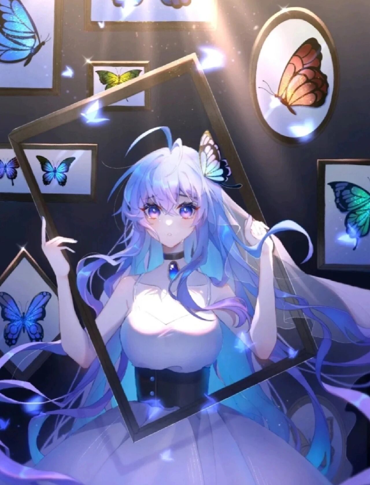 魂技 中文名:唐舞桐 别名:光之女神,冬蝶斗罗,龙蝶斗罗,小七,王冬儿