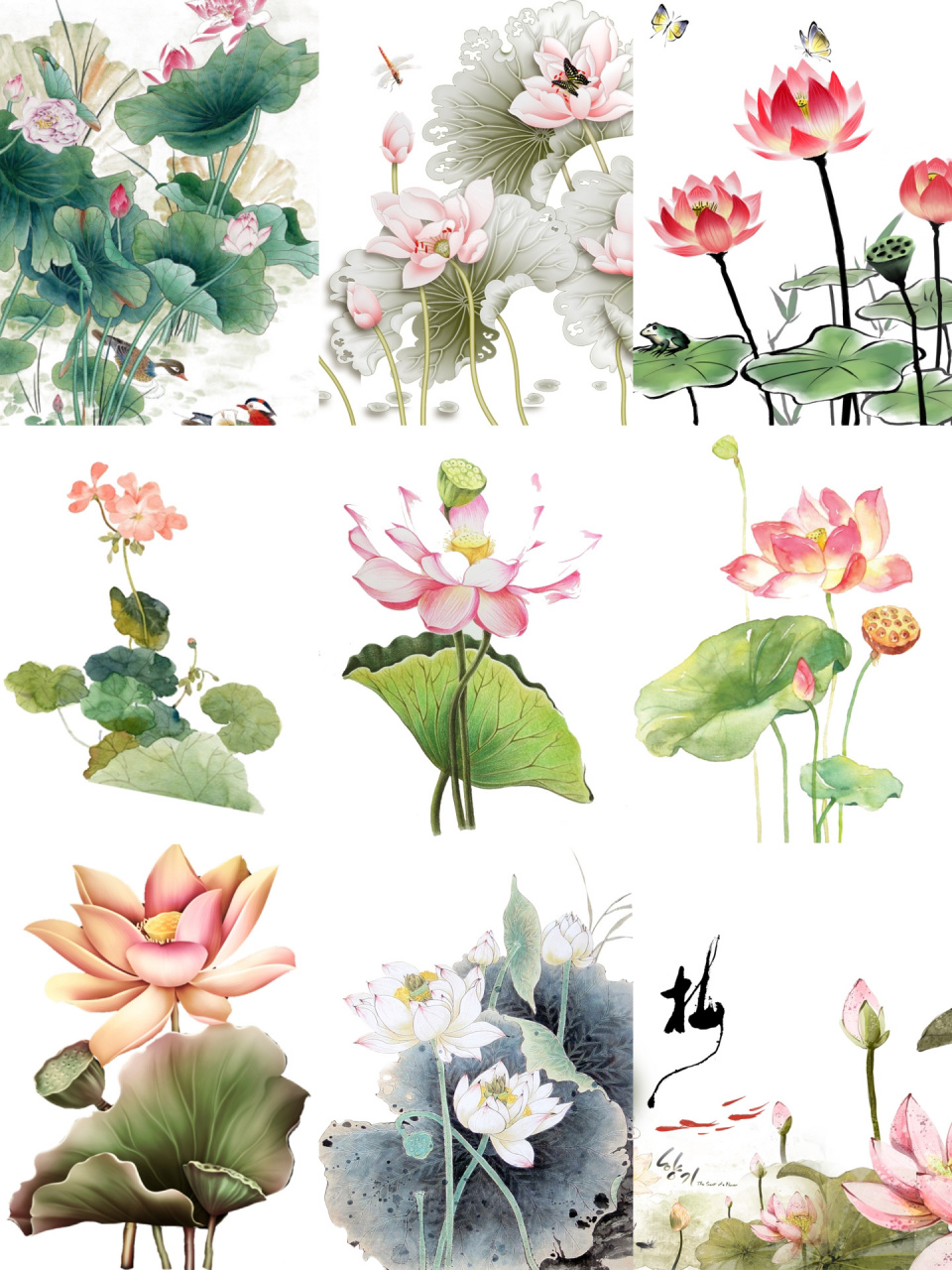 png|植物花卉篇·古风荷花(下)03 03170款荷花png素材,我很爱用于