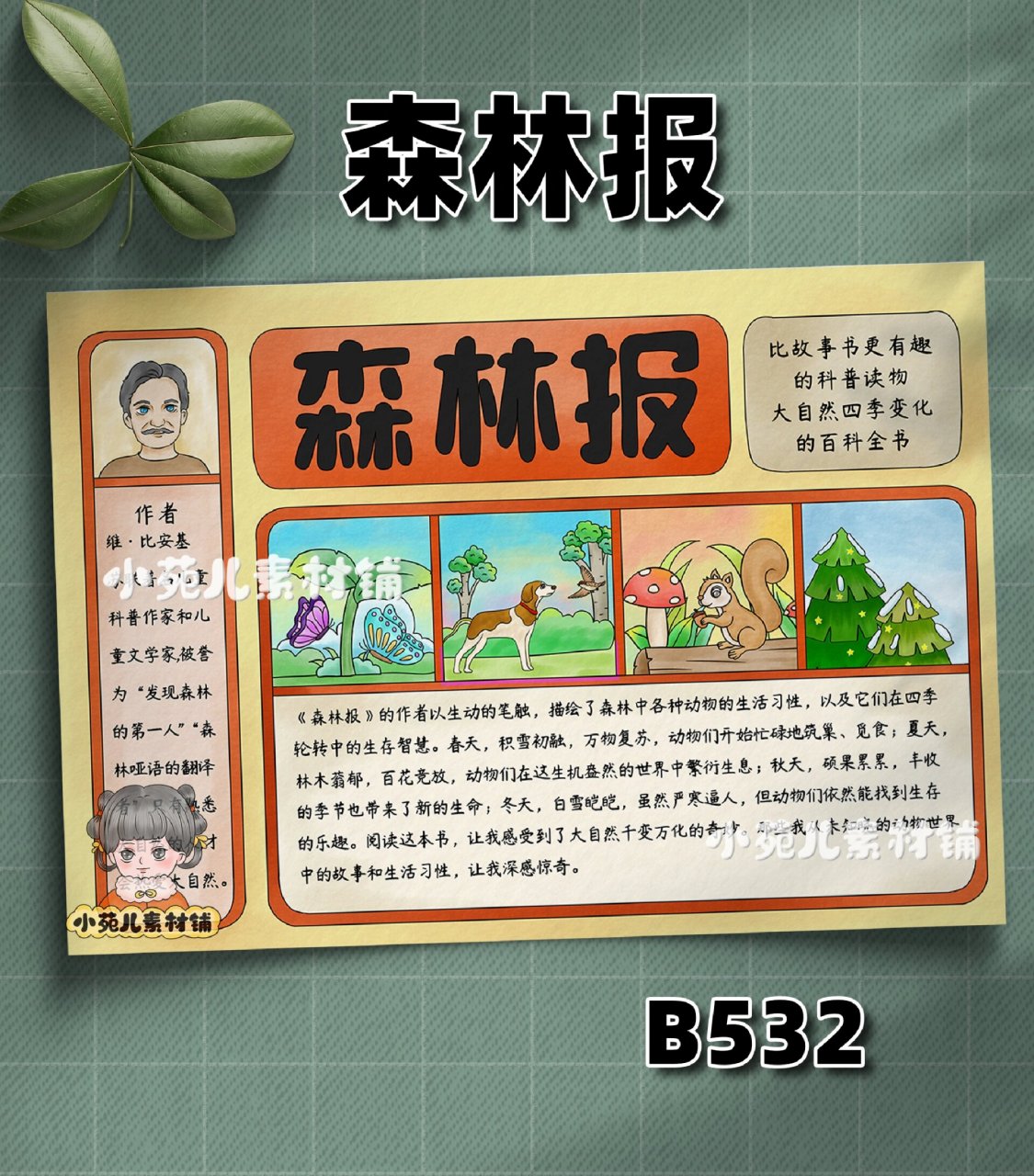 b532森林报好书推荐阅读手抄报