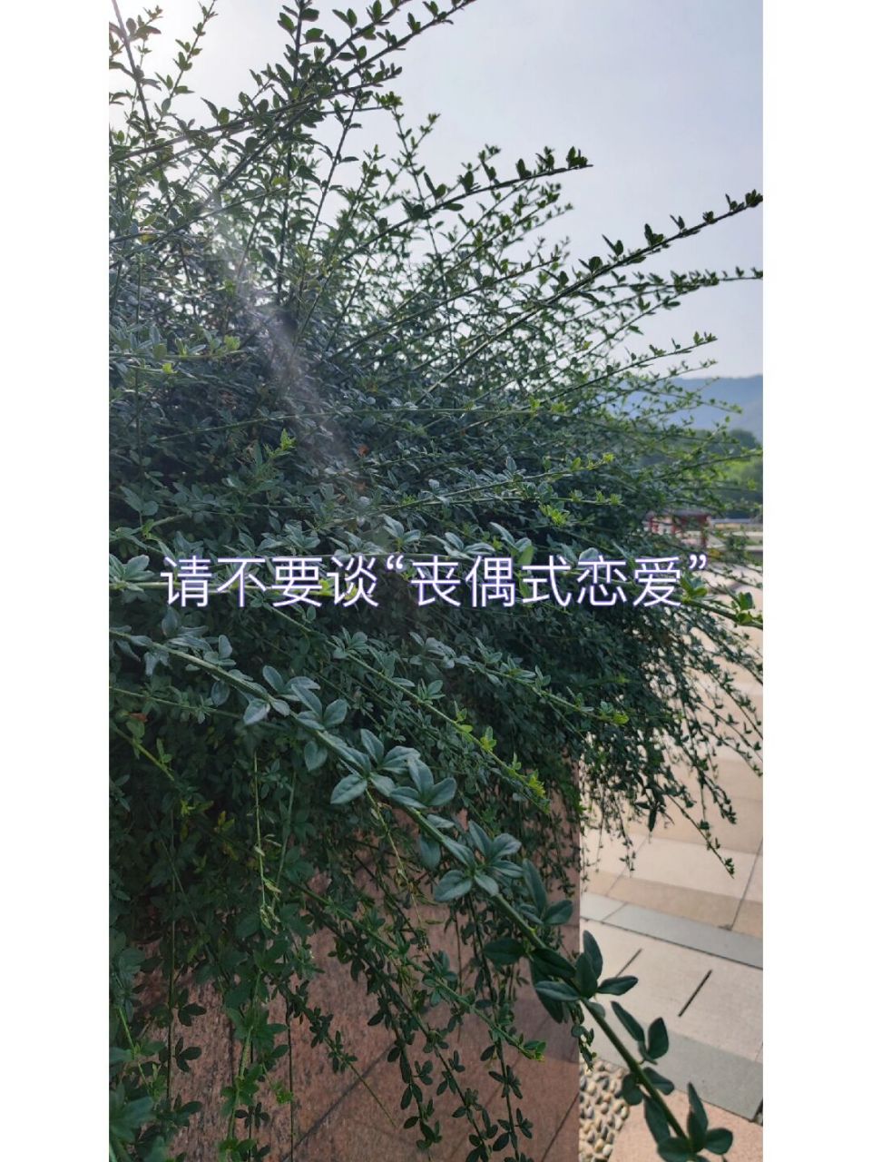 请不要谈"丧偶式恋爱" 01.