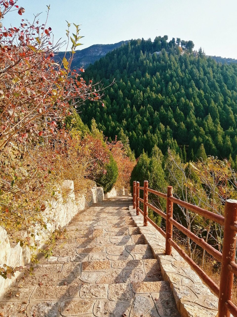 济南玉函山 | 登临城市之窗,静观摩崖石刻 济南的山体公园到底还有