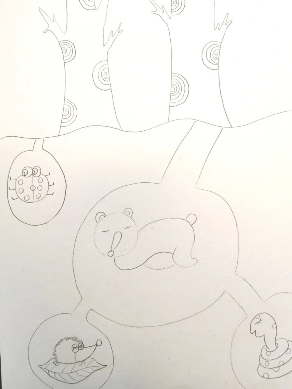 冬眠的小动物