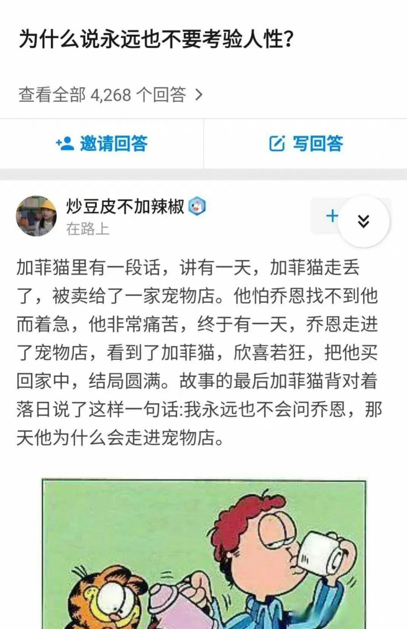 加菲猫背对着落日说:"我永远也不会问乔恩,那天他为什么走进宠物店.