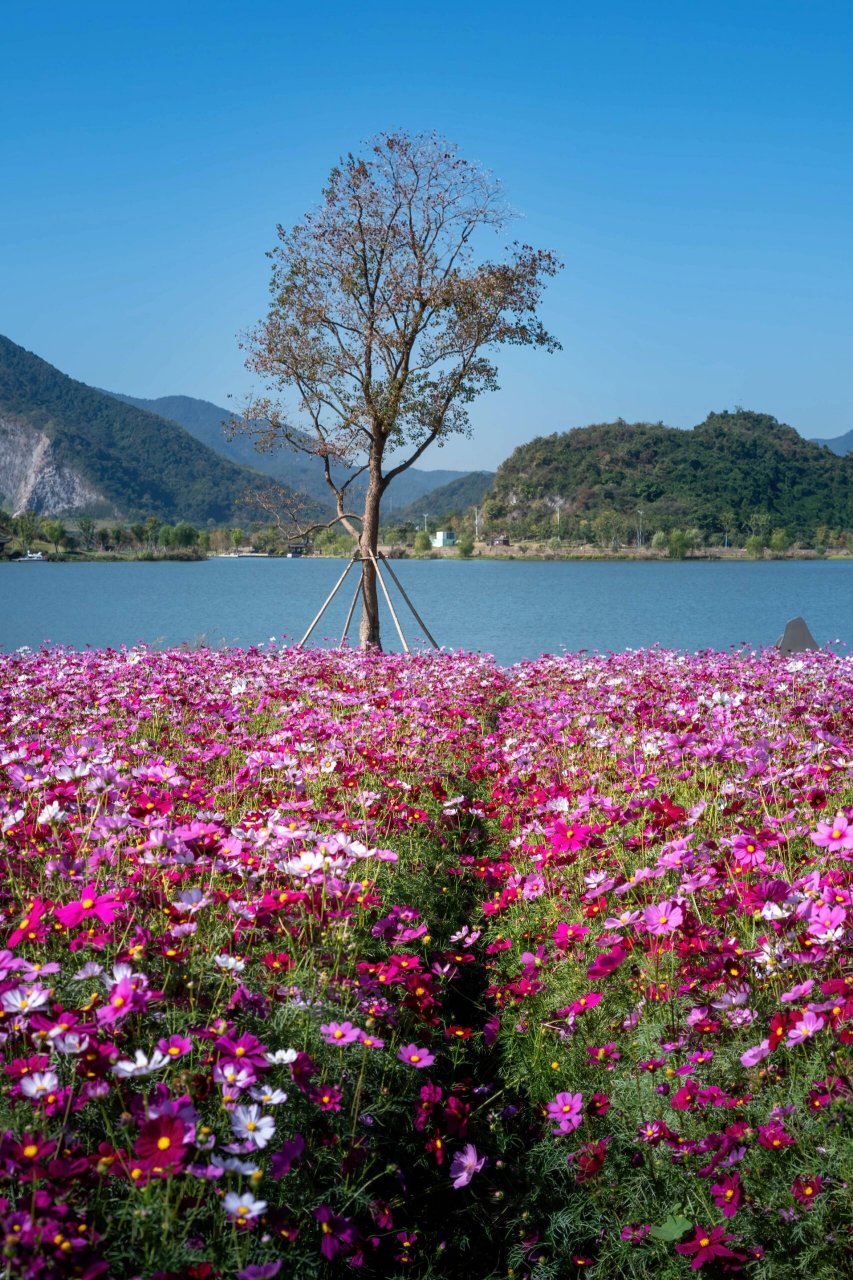 杭州市灵山铜鉴湖公园 铜鉴湖公园风景.