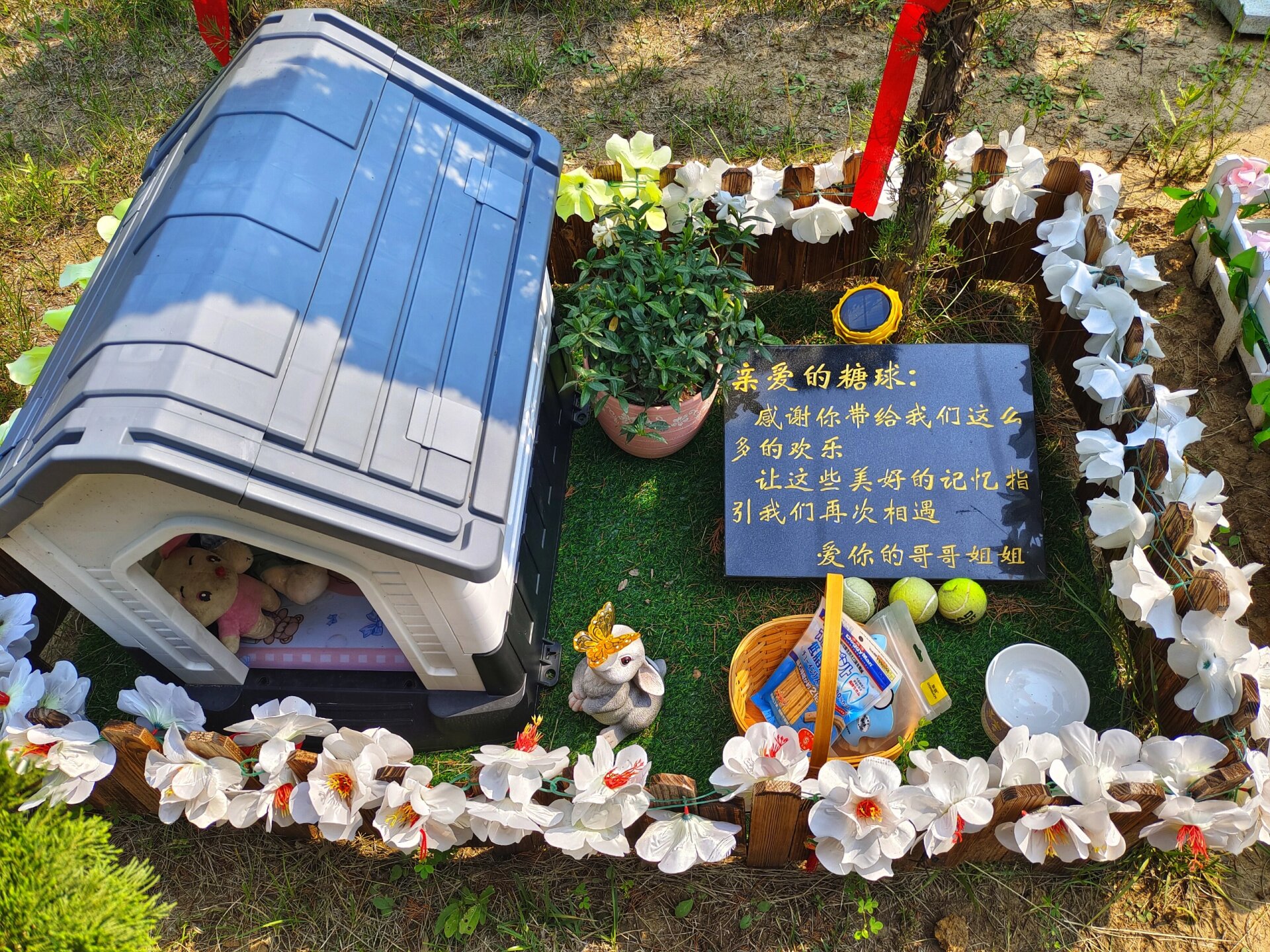 云天宠物庄园|沈阳宠物殡葬火化