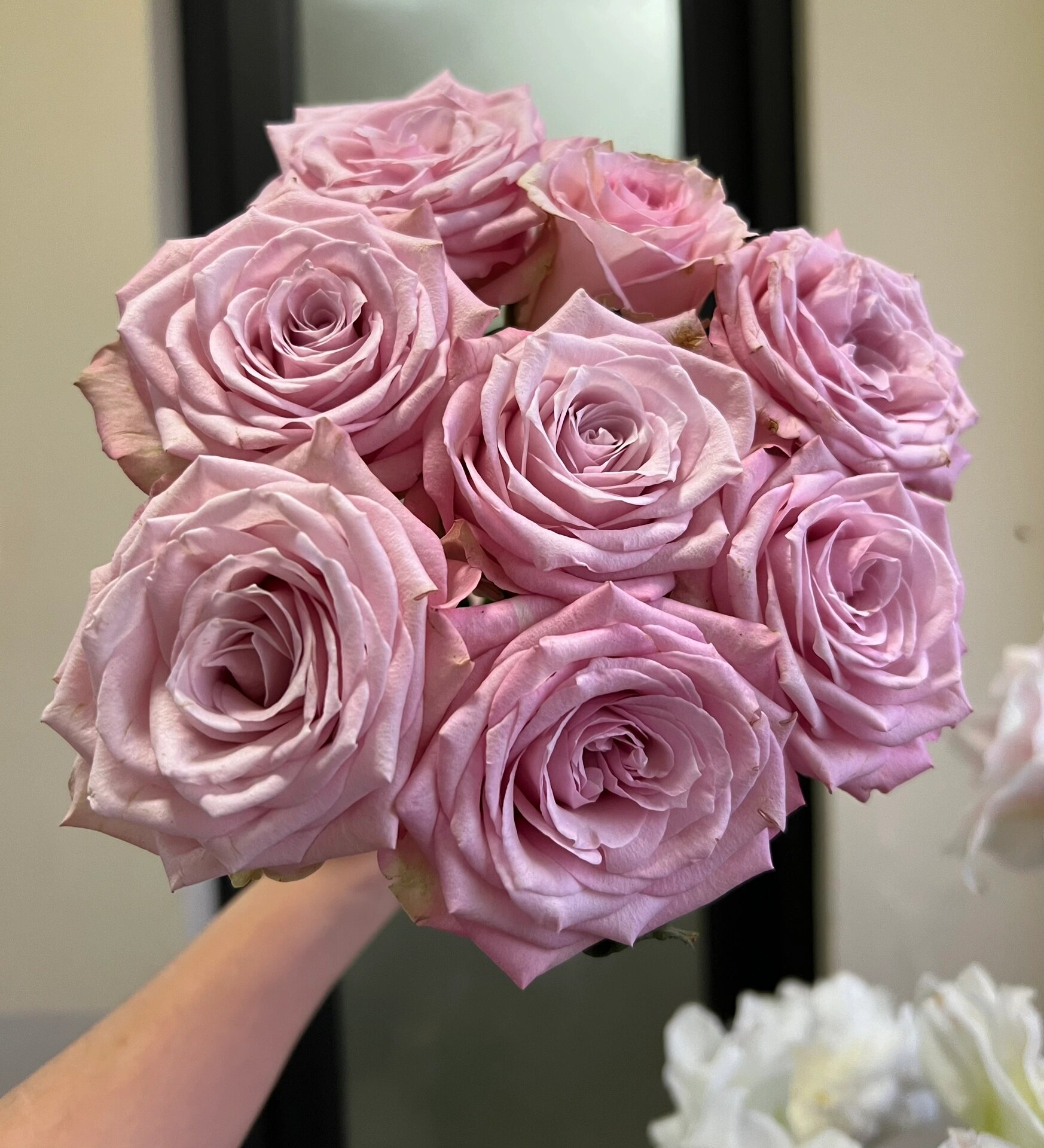 布加迪粉. 粉色,花瓣外面白色.花头大,高心型,螺旋花心,比较紧凑.