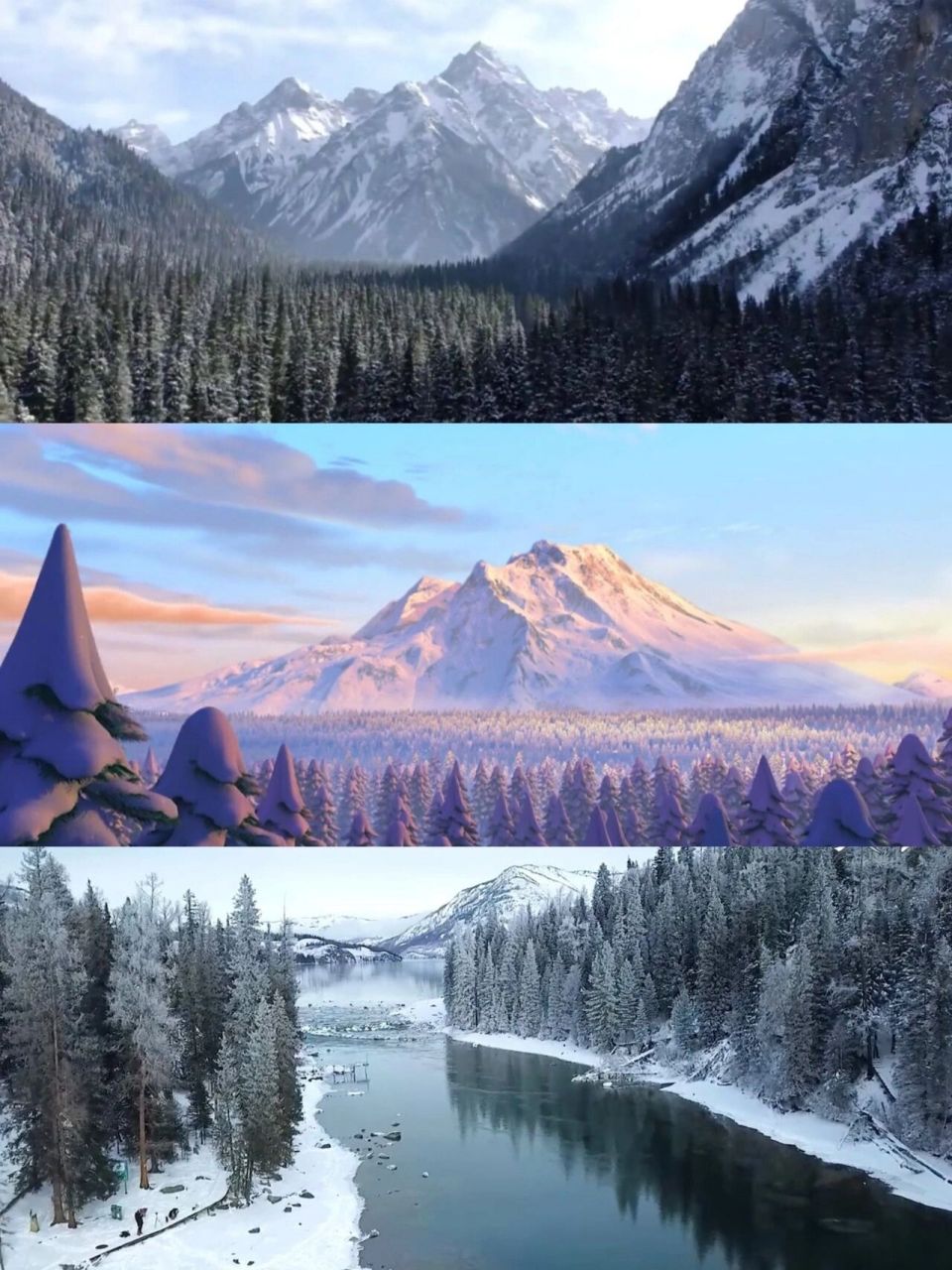 来之前先看看大兴安岭狗熊