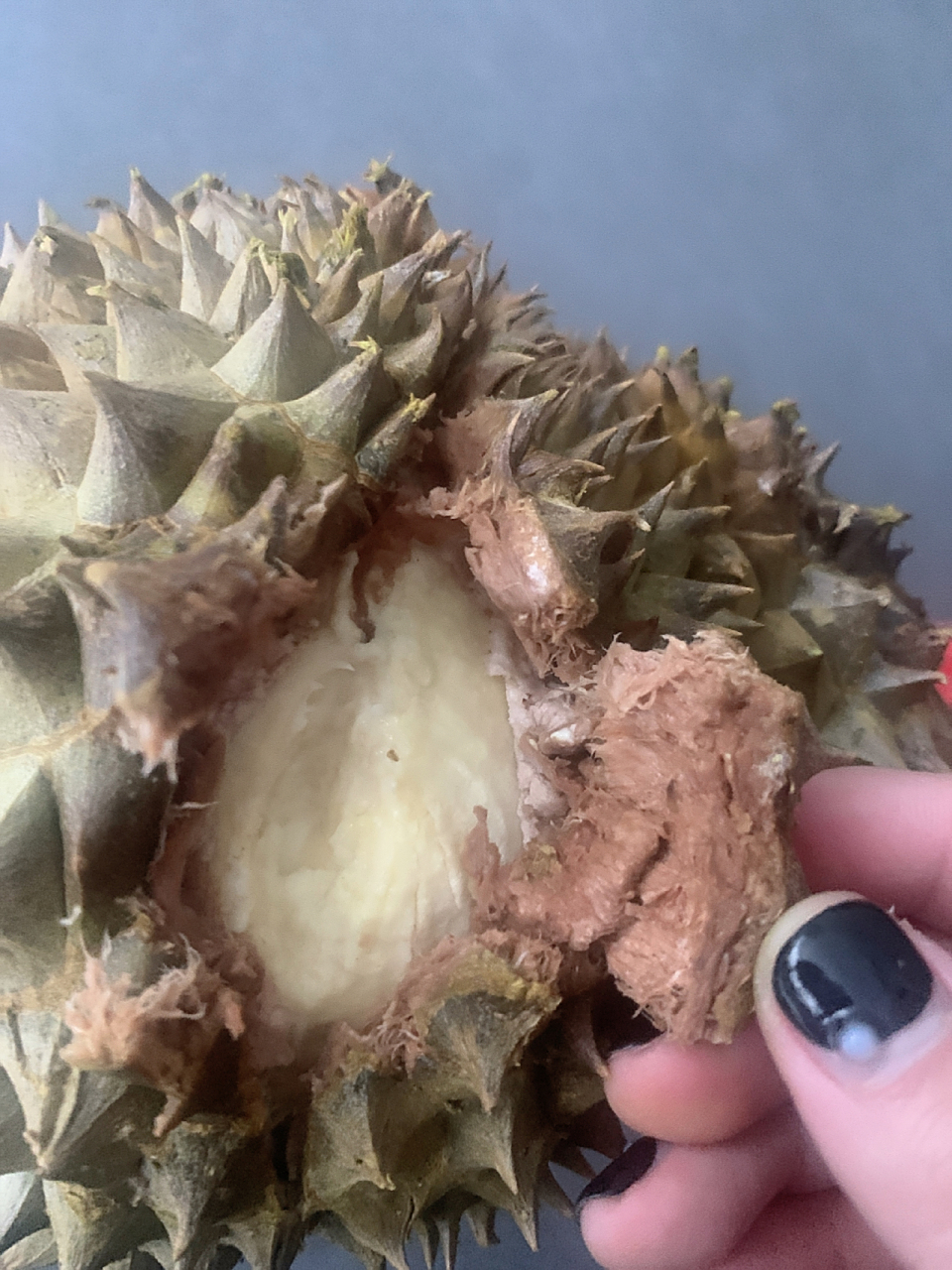 是我开早了还得榴莲本来有问题.